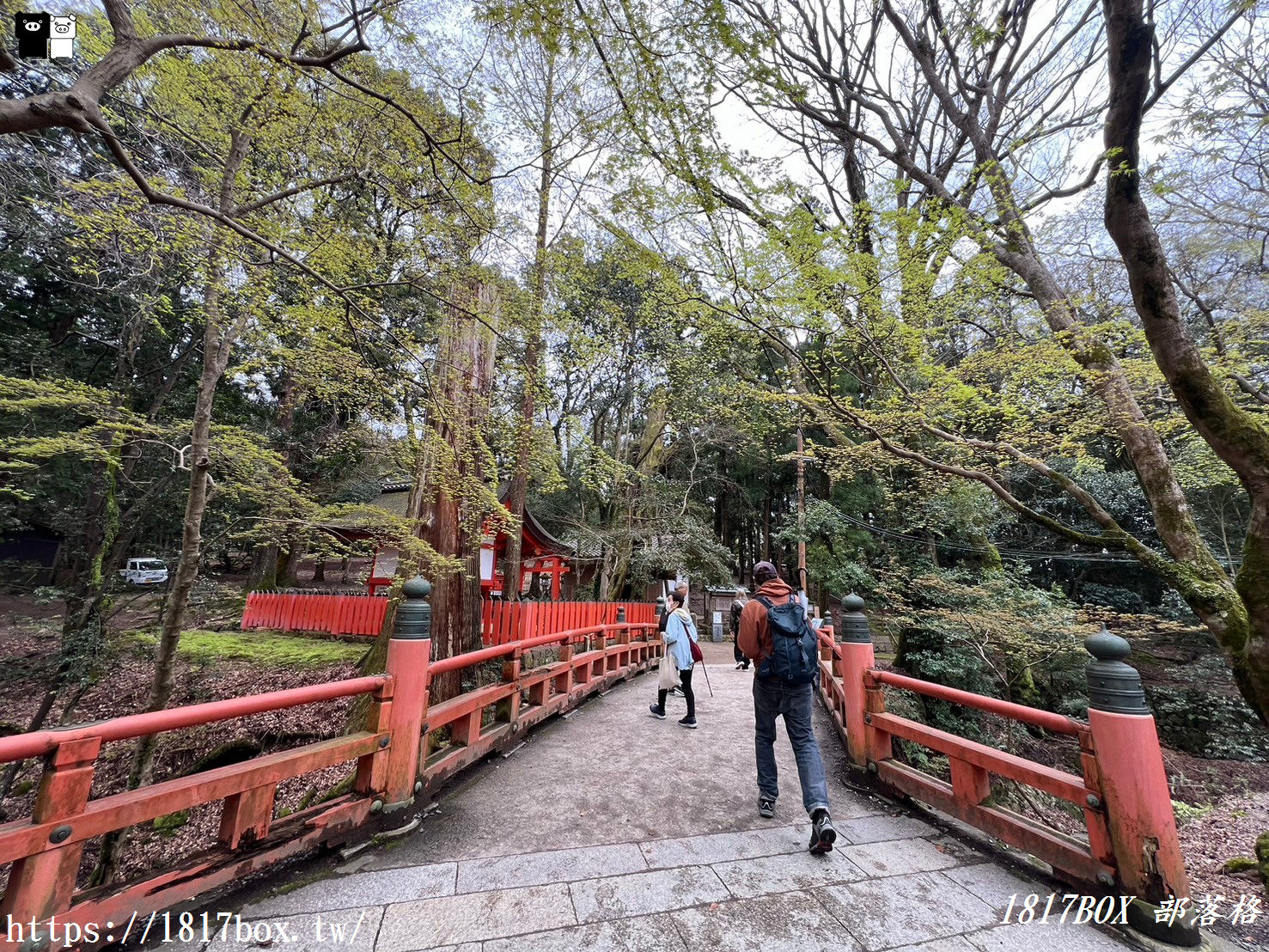 【奈良美食】水谷茶屋。隱藏在奈良公園裡的小合掌屋。在超夢幻小茅葺屋裡吃烏龍麵和甜點