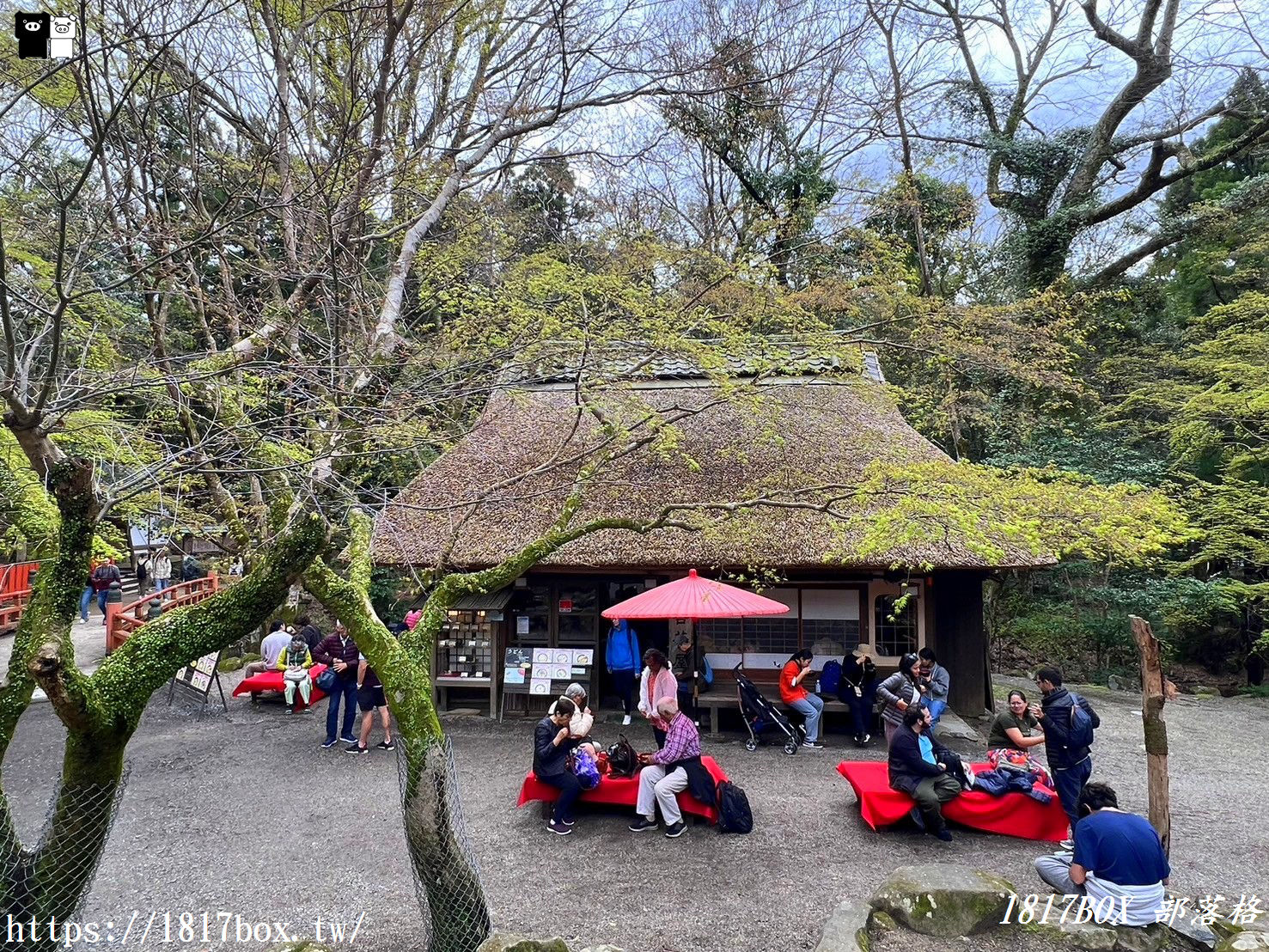 【奈良美食】水谷茶屋。隱藏在奈良公園裡的小合掌屋。在超夢幻小茅葺屋裡吃烏龍麵和甜點