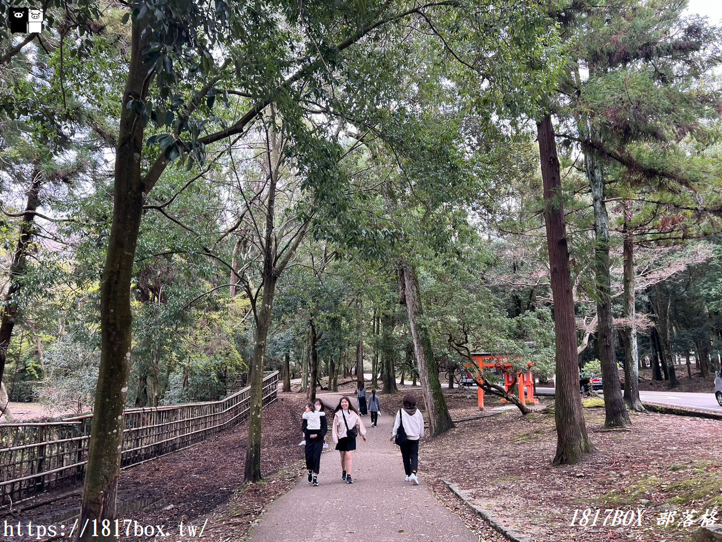 【奈良美食】水谷茶屋。隱藏在奈良公園裡的小合掌屋。在超夢幻小茅葺屋裡吃烏龍麵和甜點