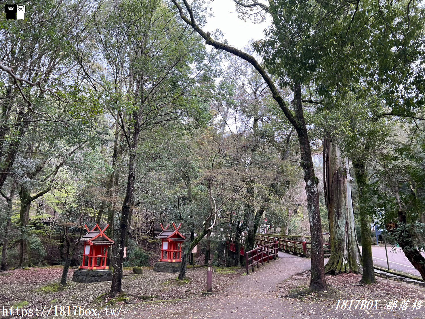 【奈良美食】水谷茶屋。隱藏在奈良公園裡的小合掌屋。在超夢幻小茅葺屋裡吃烏龍麵和甜點