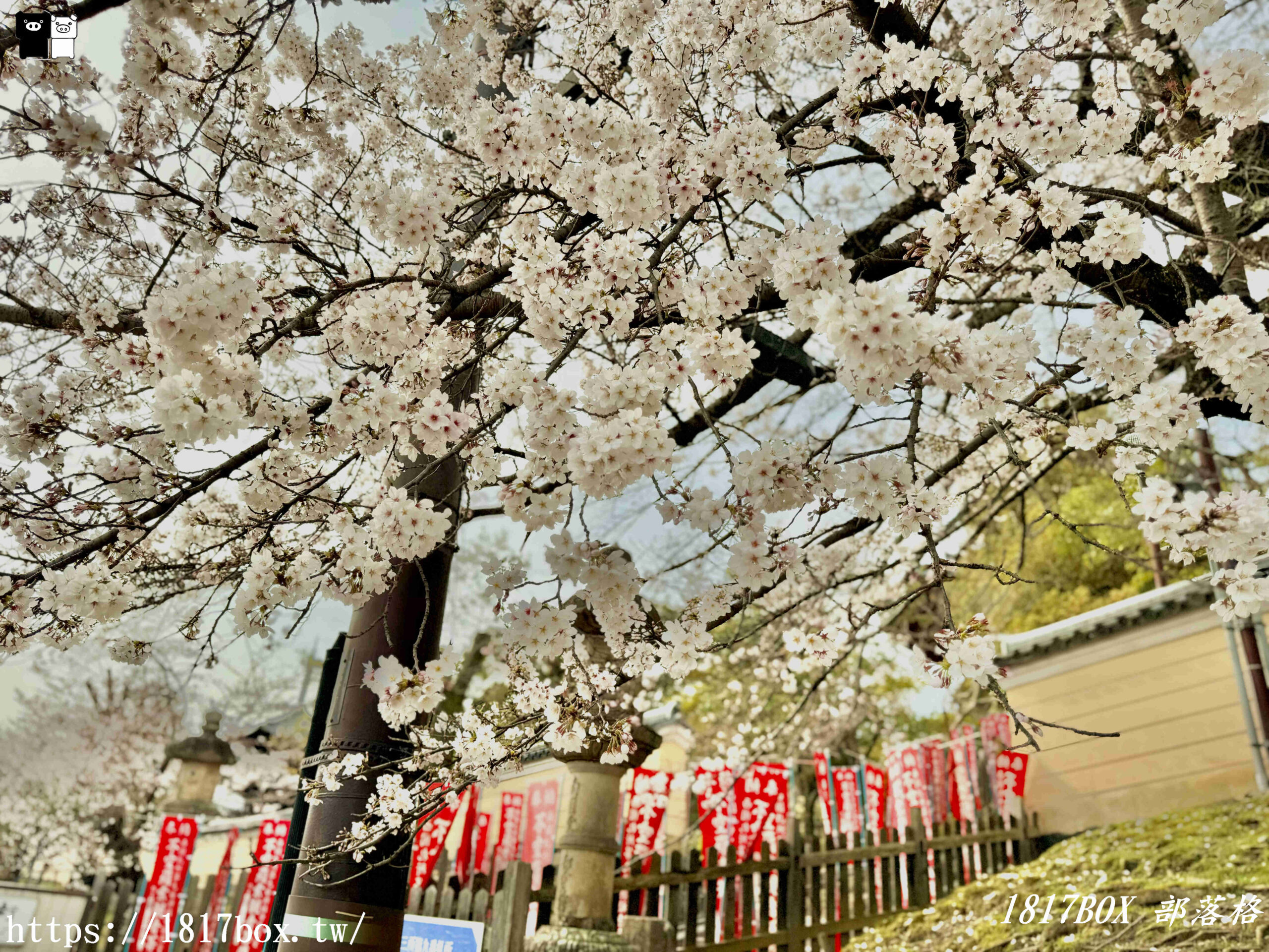 【奈良景點】興福寺。欣賞五重塔的建築之美。一睹日本國寶佛像