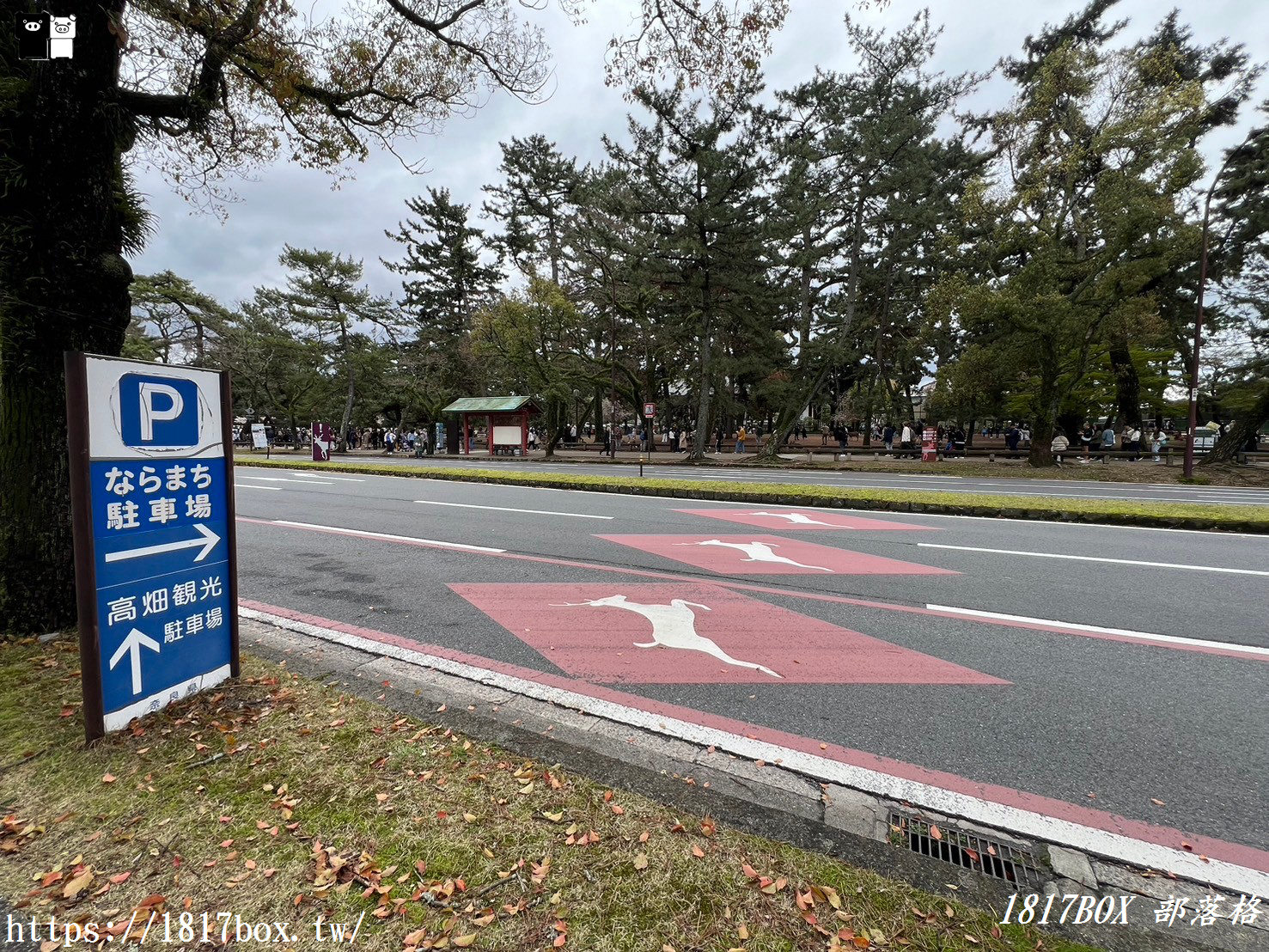 【奈良景點】奈良公園。餵梅花鹿。與超過千頭的小鹿互動拍照