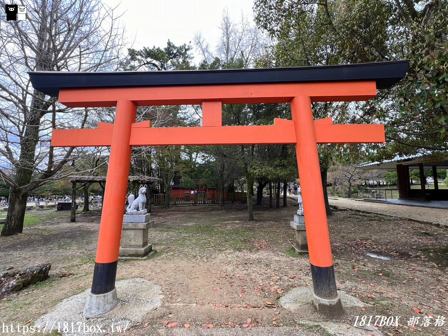 【奈良景點】奈良公園。餵梅花鹿。與超過千頭的小鹿互動拍照