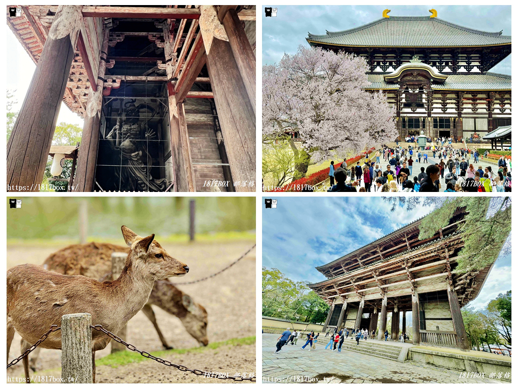 【奈良景點】東大寺。歷史悠久的奈良大佛。奈良熱門觀光景點