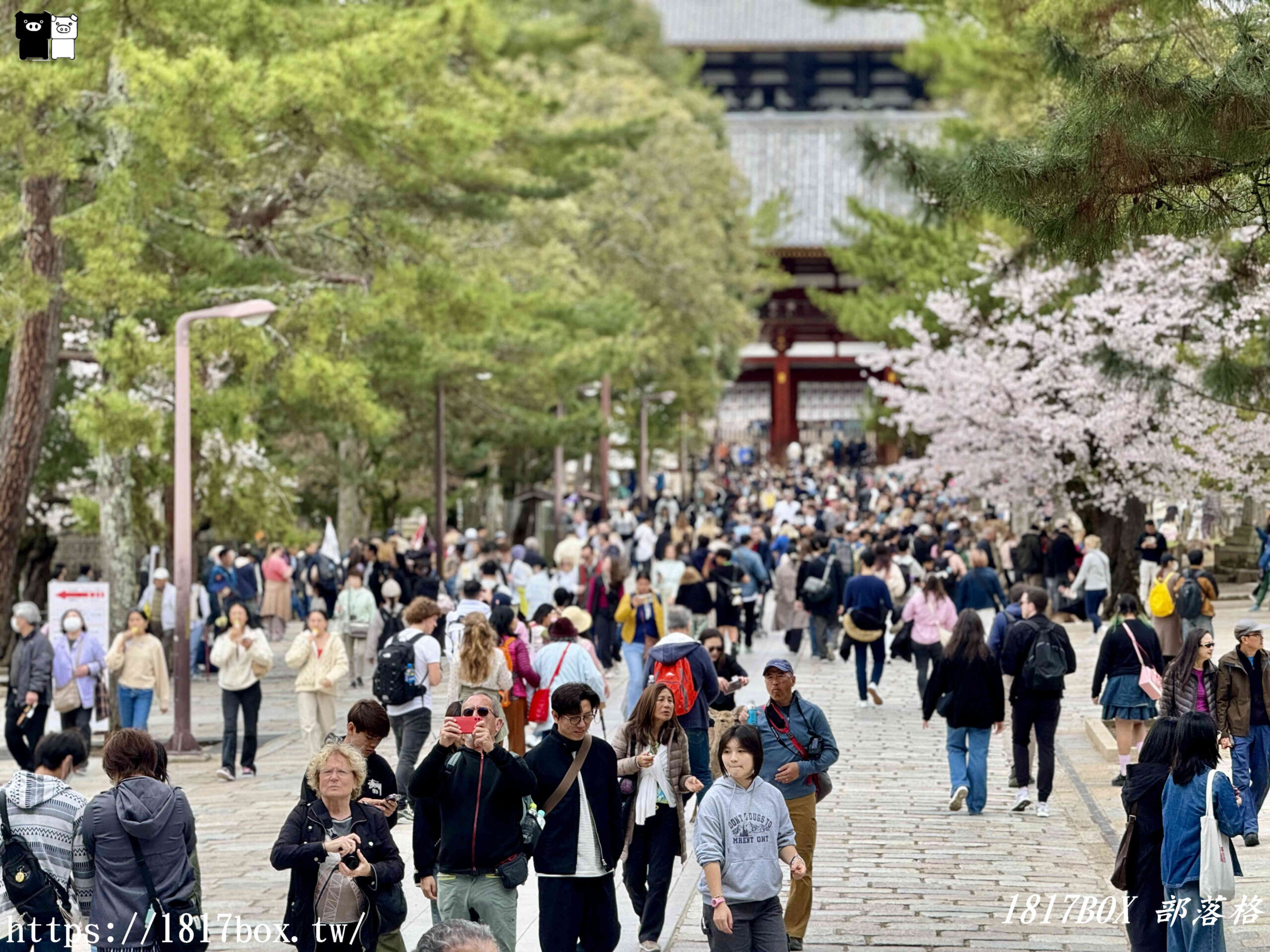 【奈良景點】東大寺。歷史悠久的奈良大佛。奈良熱門觀光景點