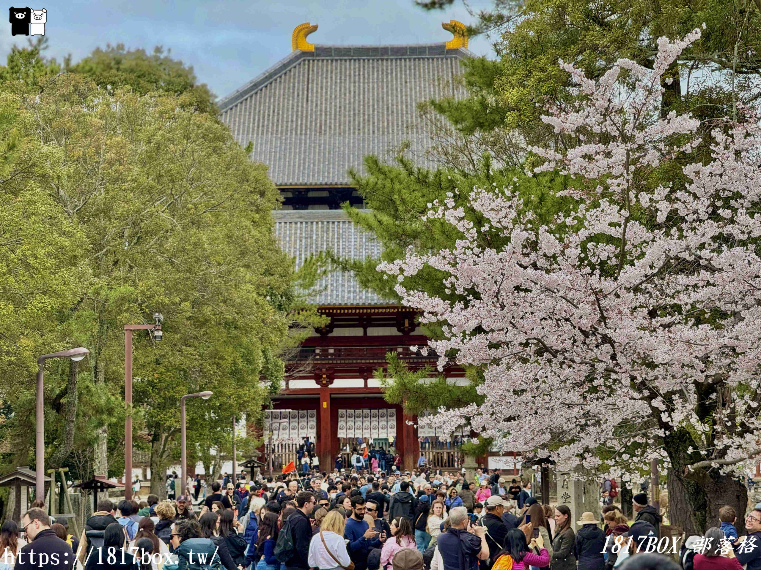 【奈良景點】東大寺。歷史悠久的奈良大佛。奈良熱門觀光景點