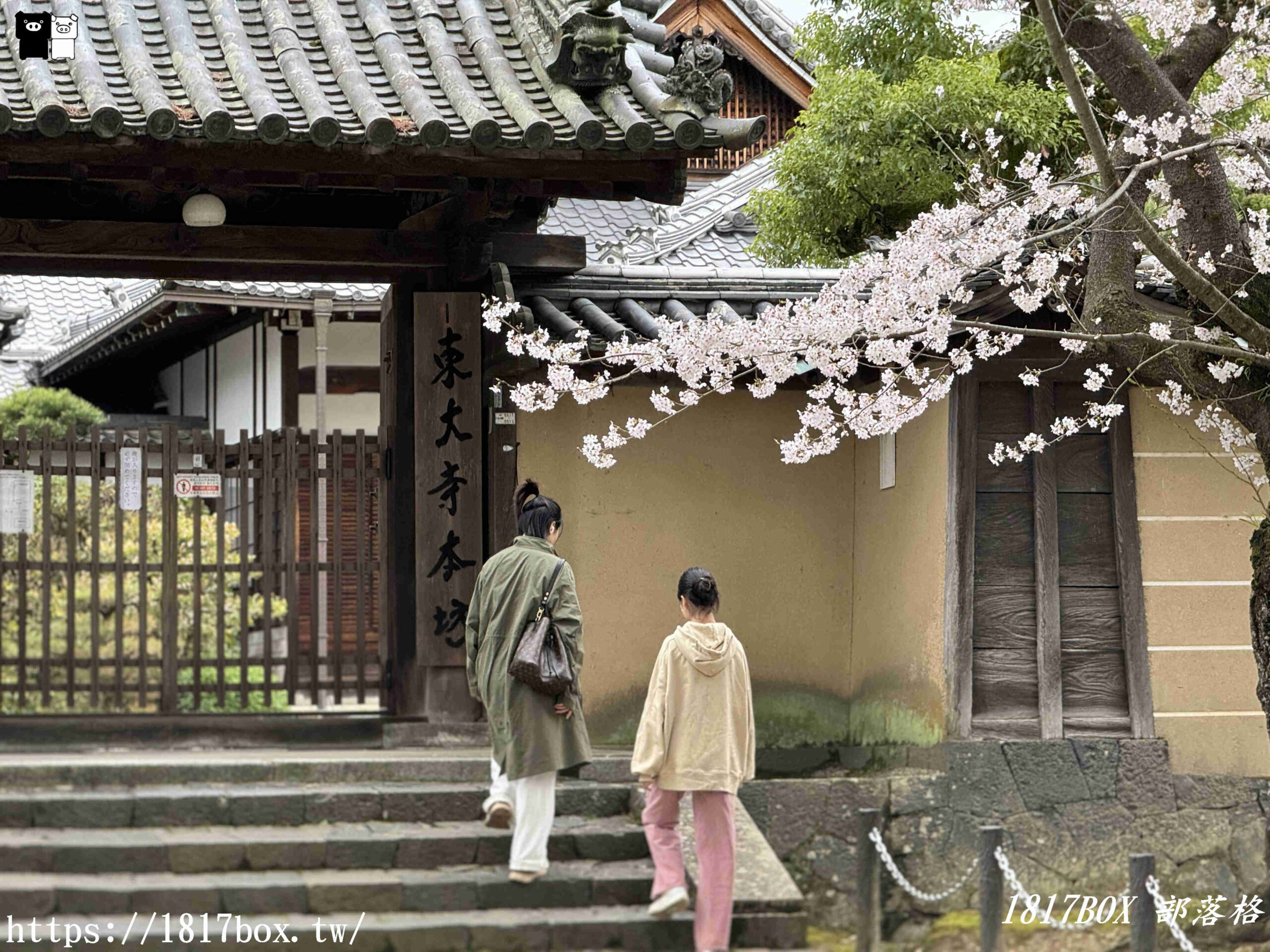 【奈良景點】東大寺。歷史悠久的奈良大佛。奈良熱門觀光景點