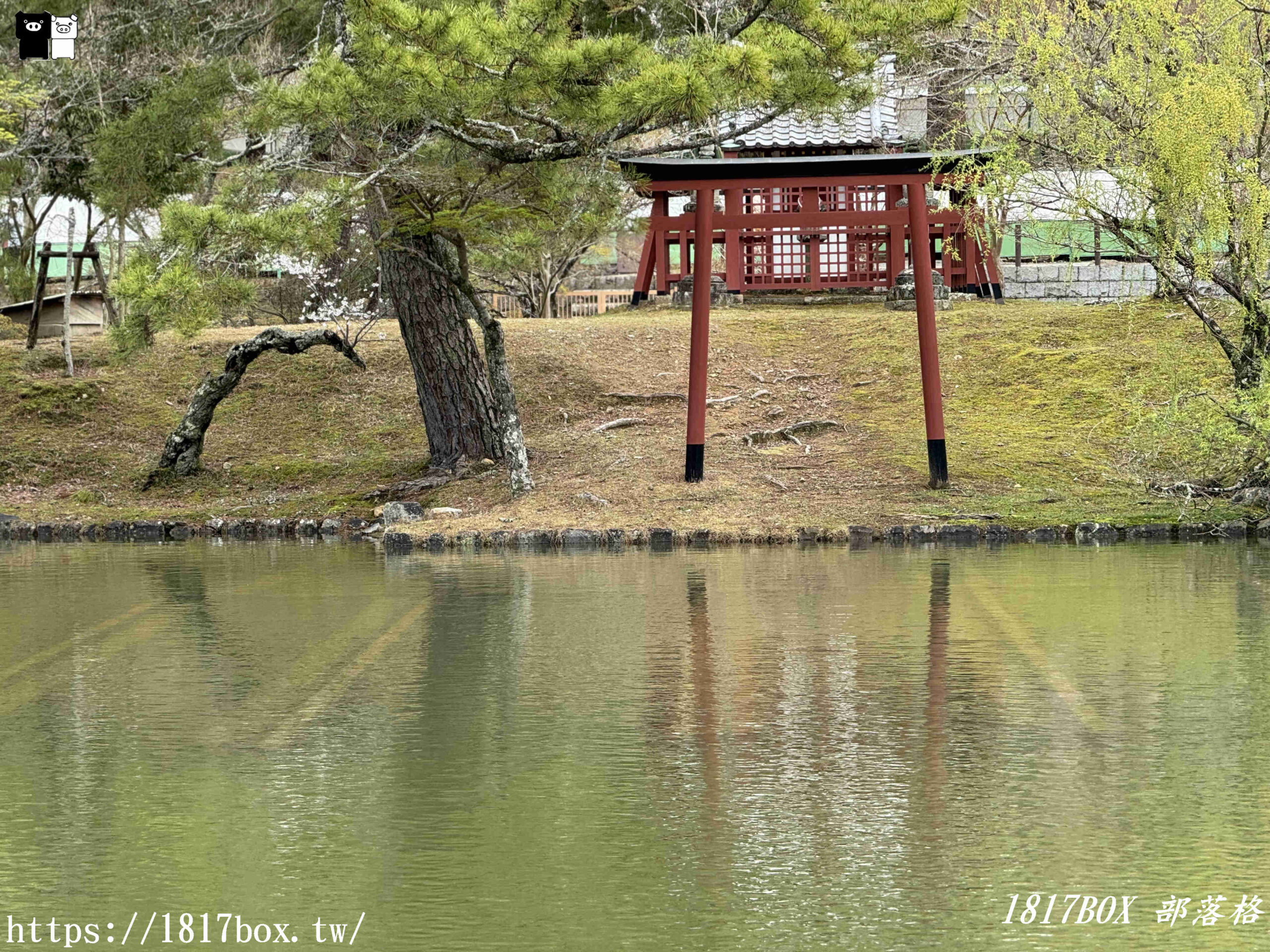 【奈良景點】東大寺。歷史悠久的奈良大佛。奈良熱門觀光景點