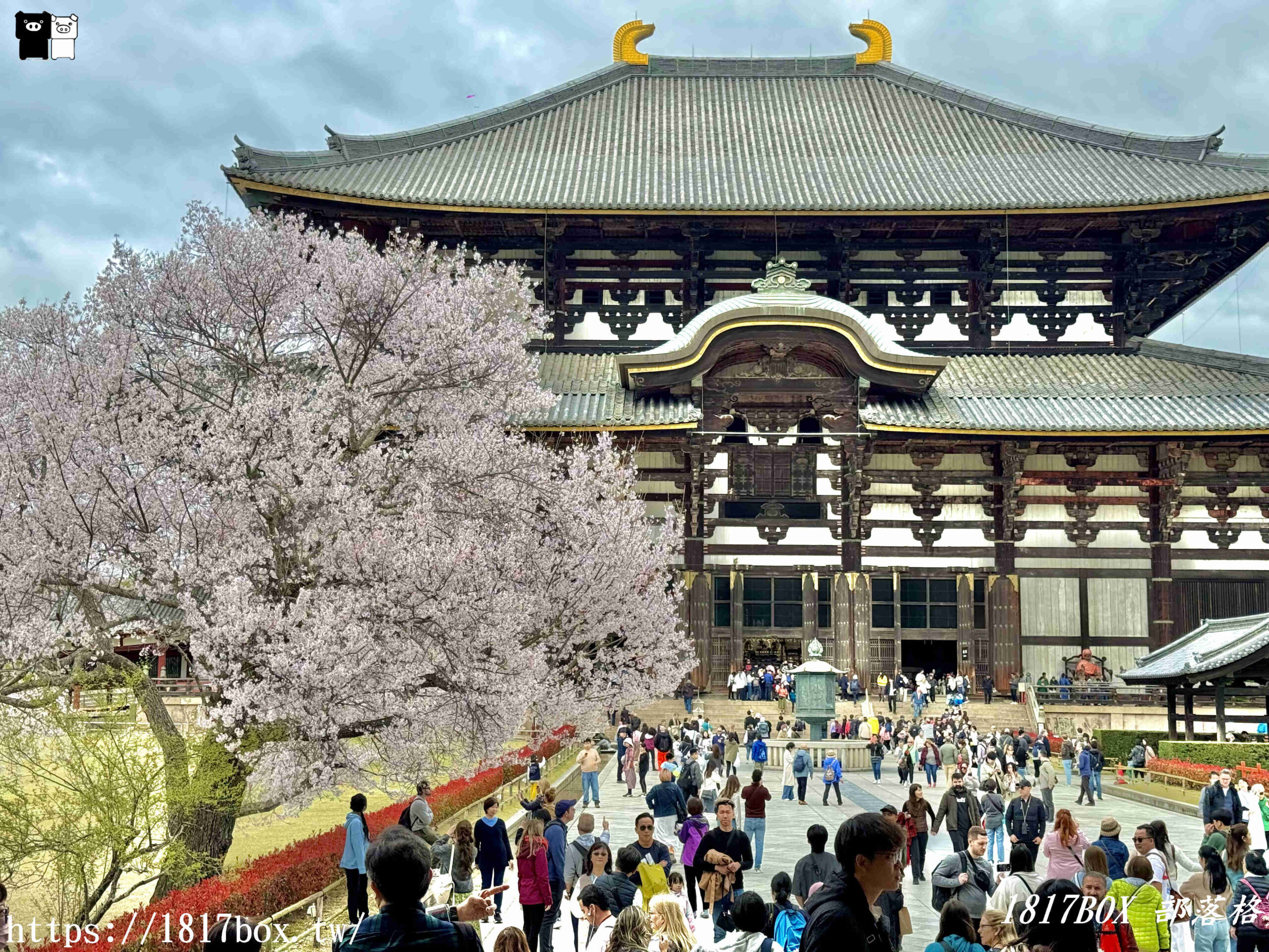 【奈良景點】東大寺。歷史悠久的奈良大佛。奈良熱門觀光景點