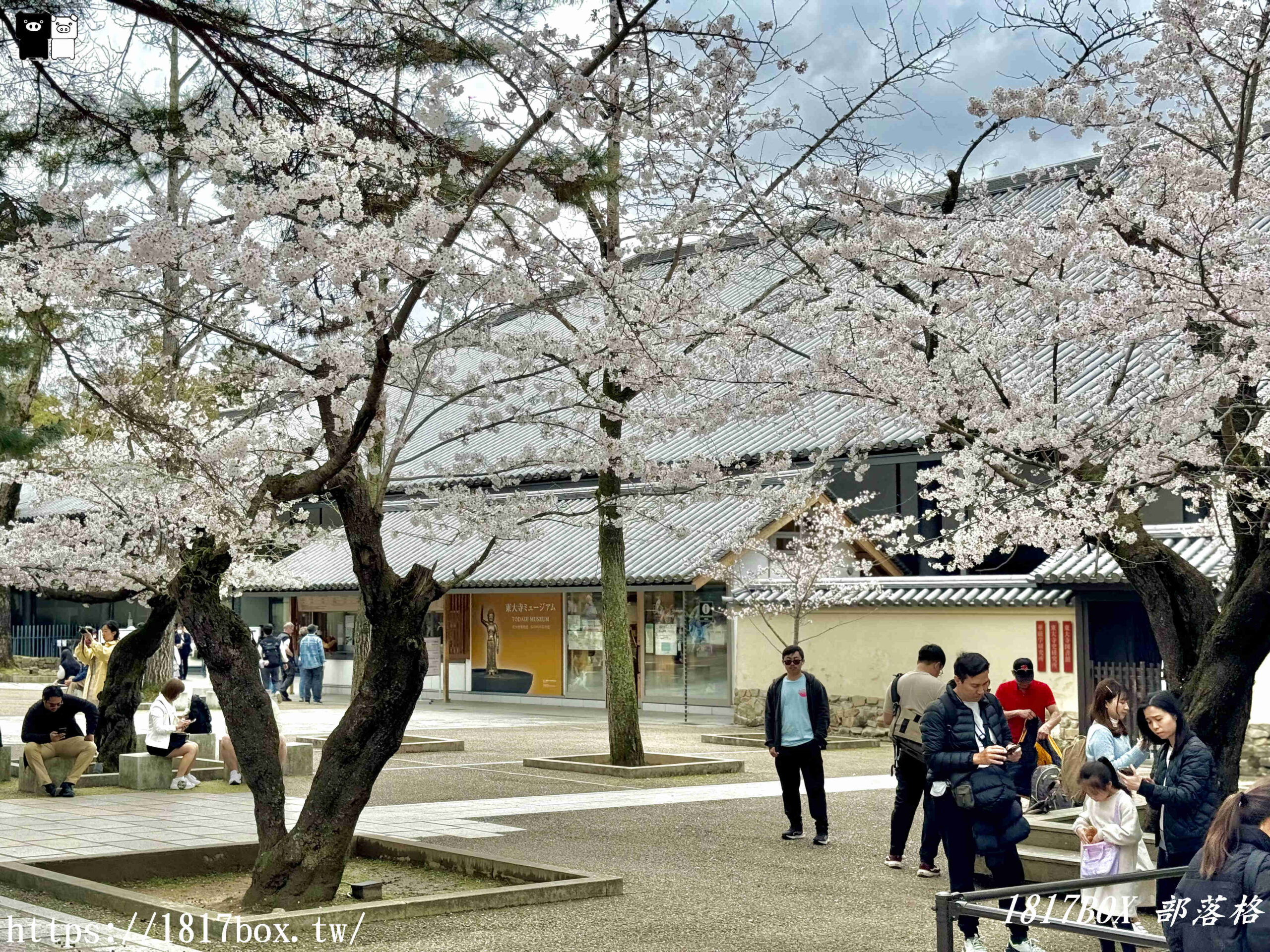 【奈良景點】東大寺。歷史悠久的奈良大佛。奈良熱門觀光景點