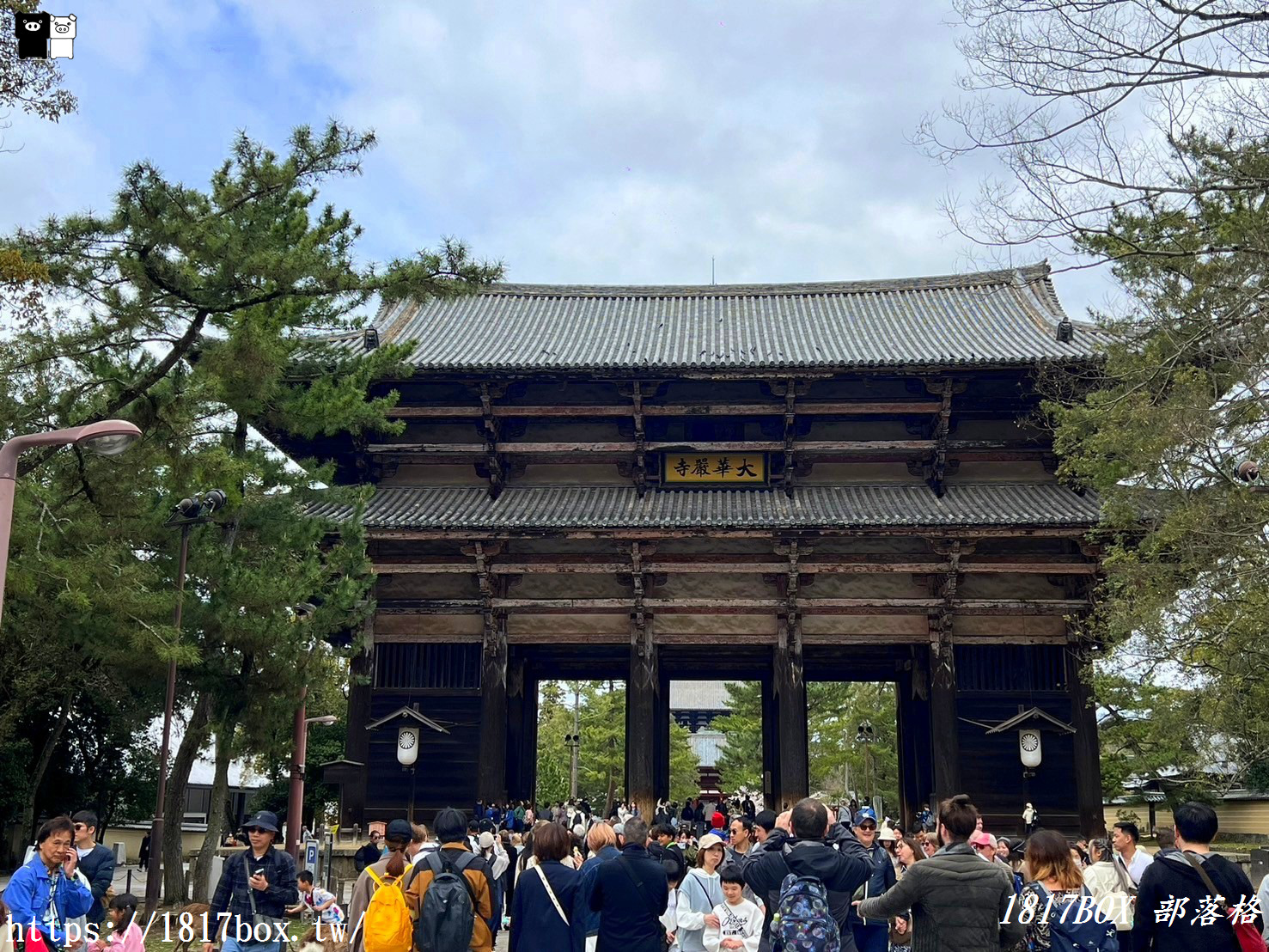 【奈良景點】東大寺。歷史悠久的奈良大佛。奈良熱門觀光景點