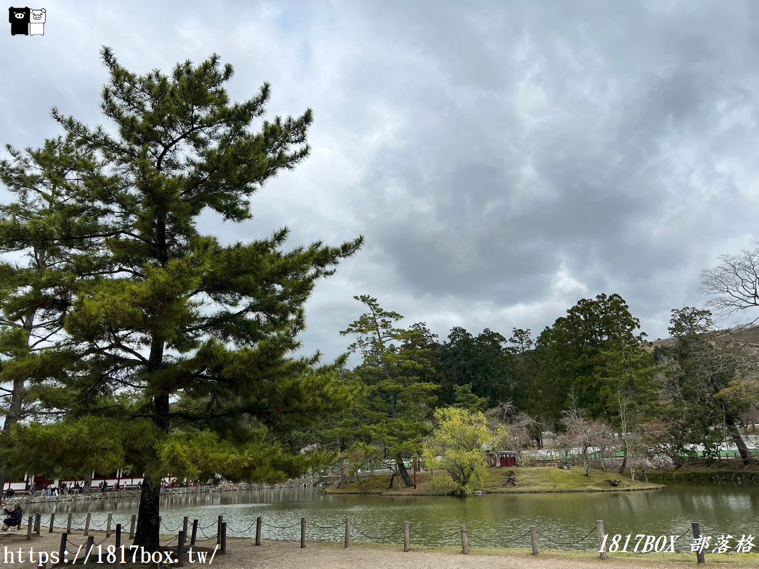 【奈良景點】東大寺。歷史悠久的奈良大佛。奈良熱門觀光景點