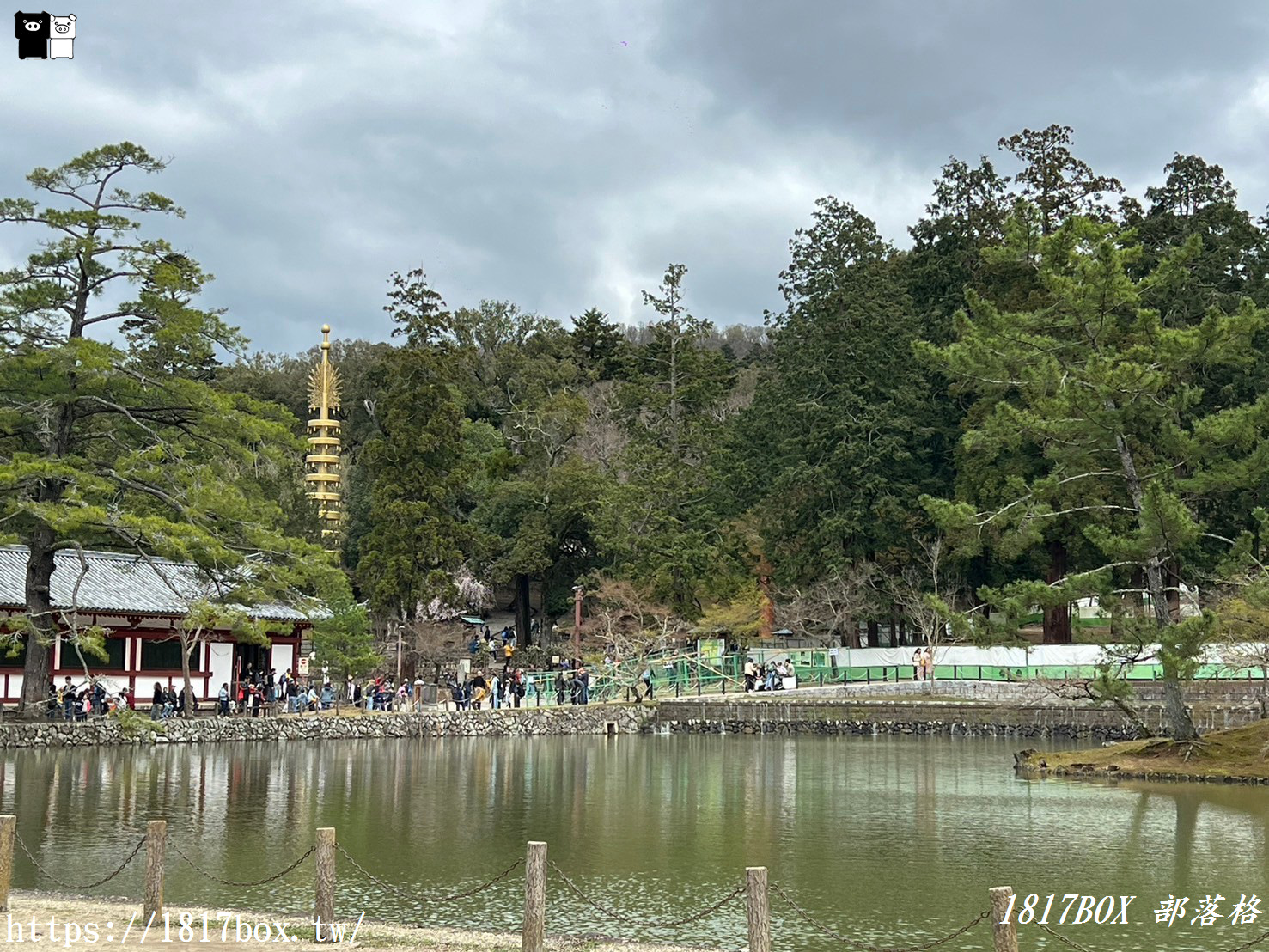 【奈良景點】東大寺。歷史悠久的奈良大佛。奈良熱門觀光景點