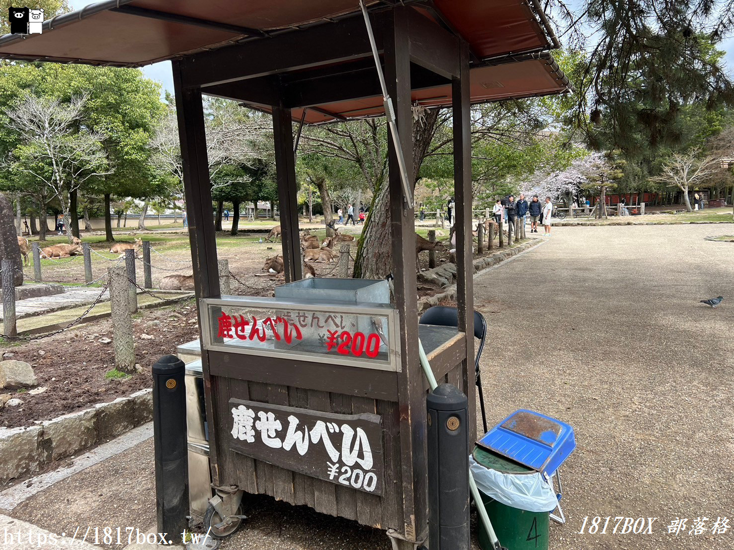 【奈良景點】東大寺。歷史悠久的奈良大佛。奈良熱門觀光景點