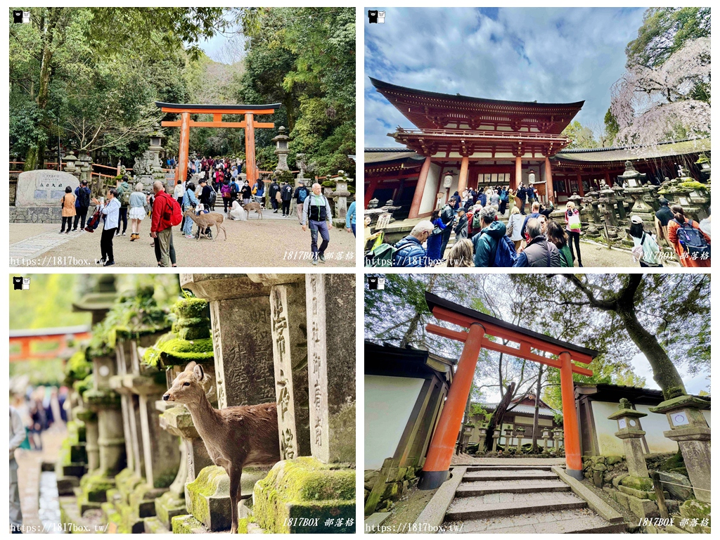 【奈良景點】春日大社。有著朱紅色建築＆美麗紫藤花。世界文化遺產 @1817BOX部落格