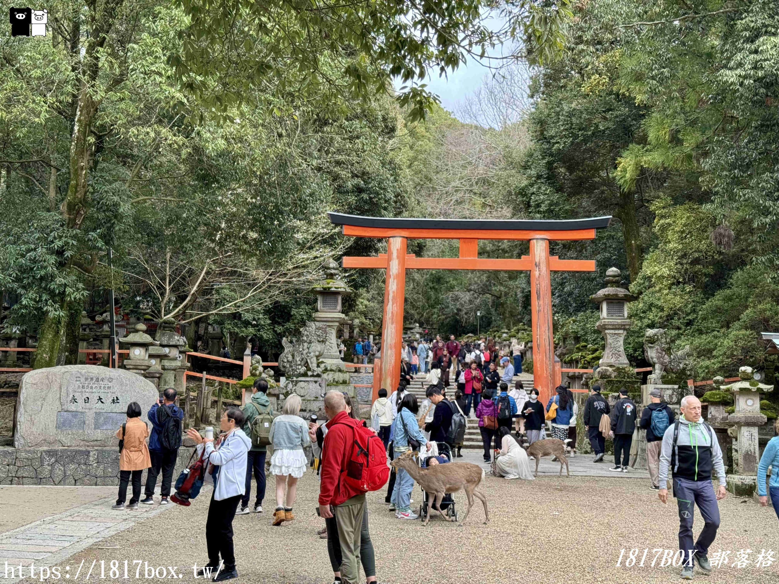 【奈良景點】春日大社。有著朱紅色建築＆美麗紫藤花。世界文化遺產