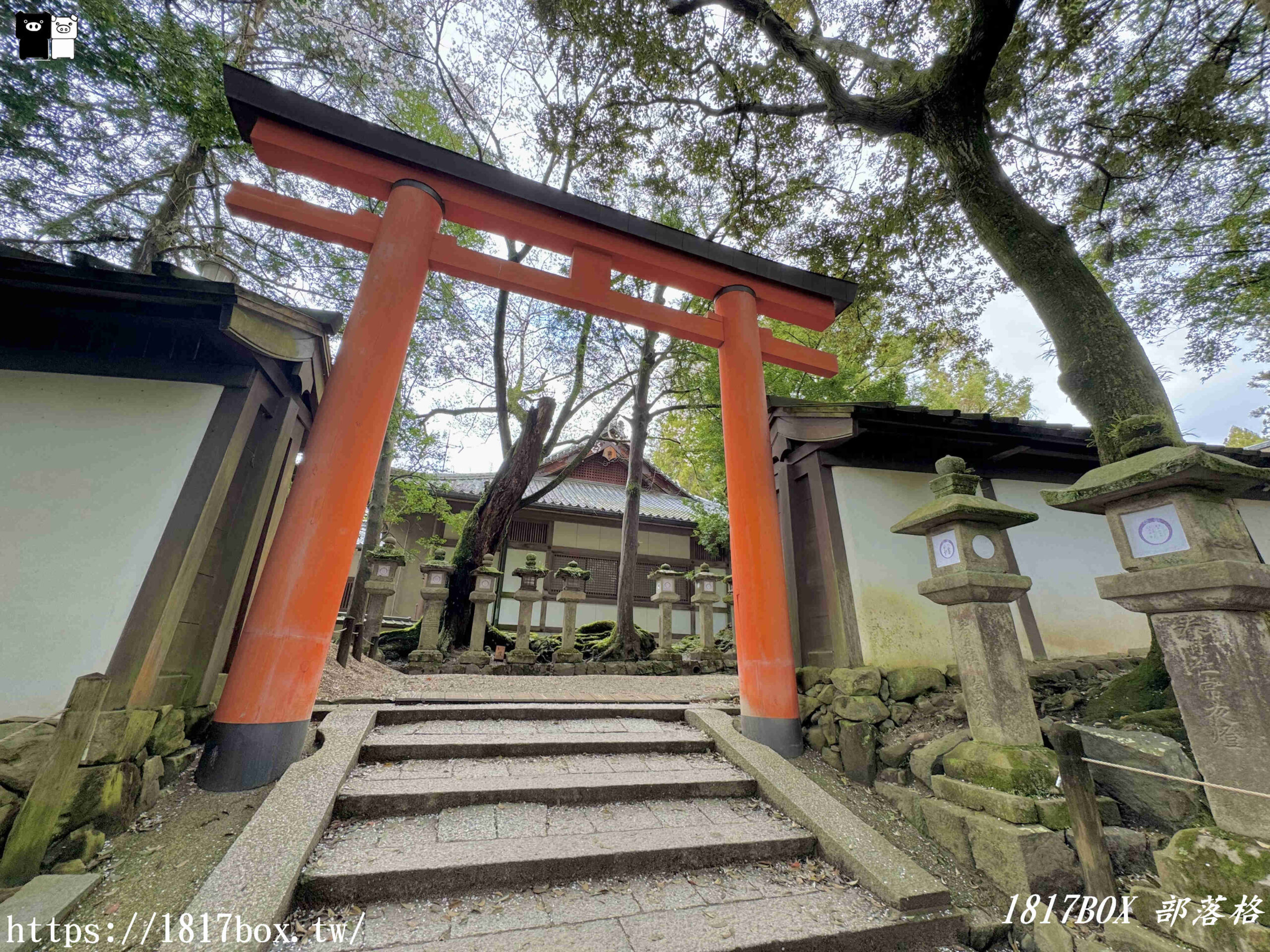 【奈良景點】春日大社。有著朱紅色建築＆美麗紫藤花。世界文化遺產