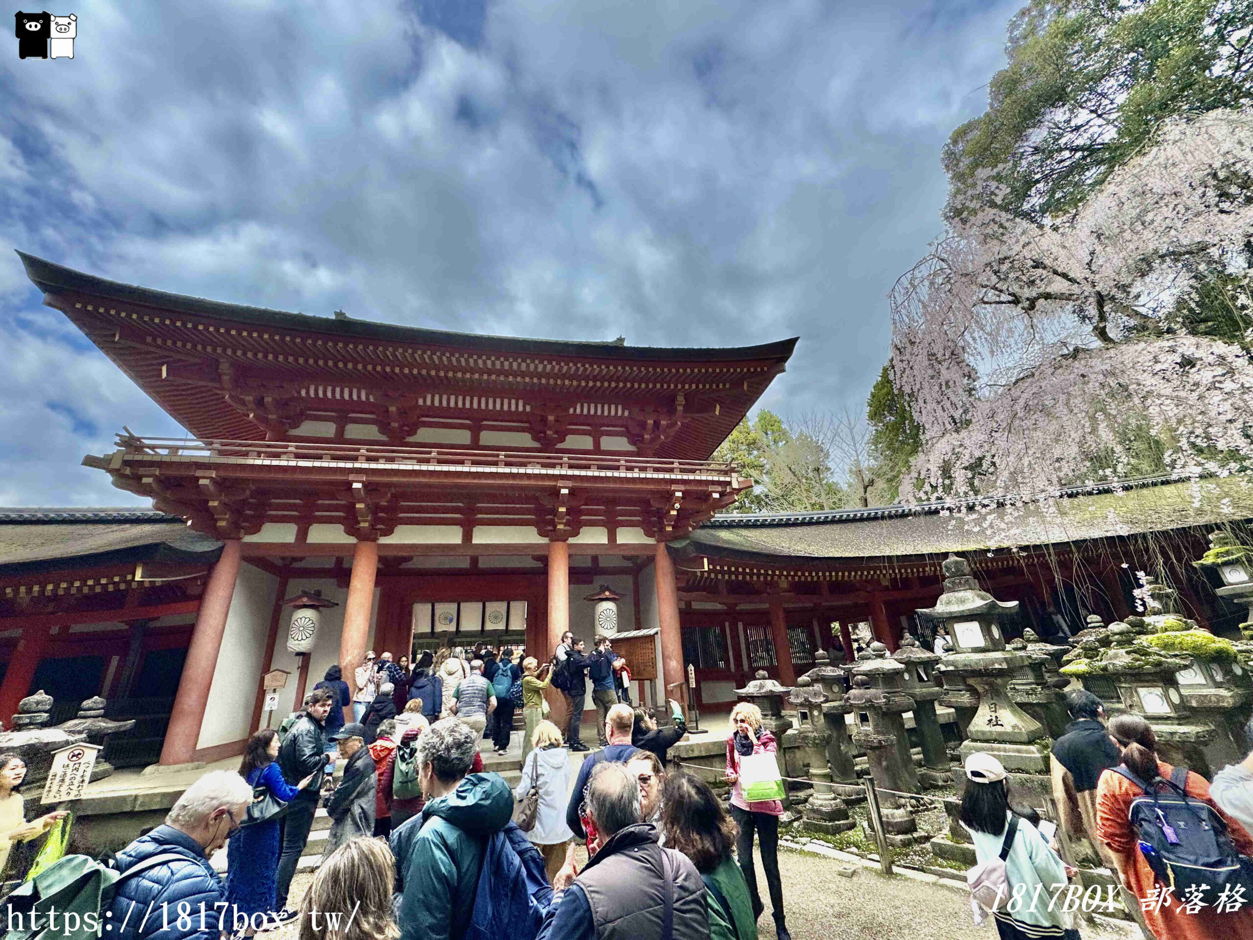 【奈良景點】春日大社。有著朱紅色建築＆美麗紫藤花。世界文化遺產