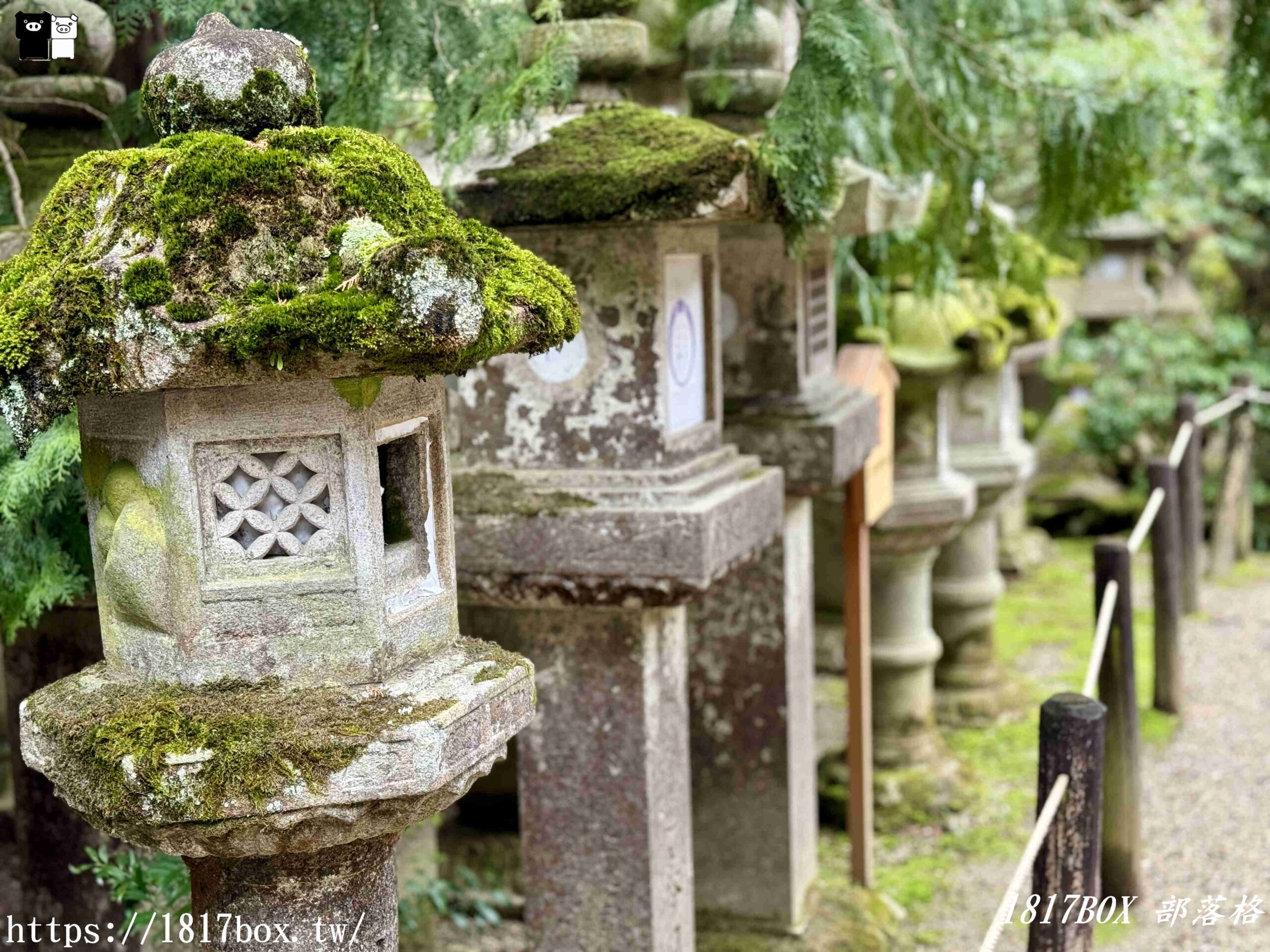 【奈良景點】春日大社。有著朱紅色建築＆美麗紫藤花。世界文化遺產