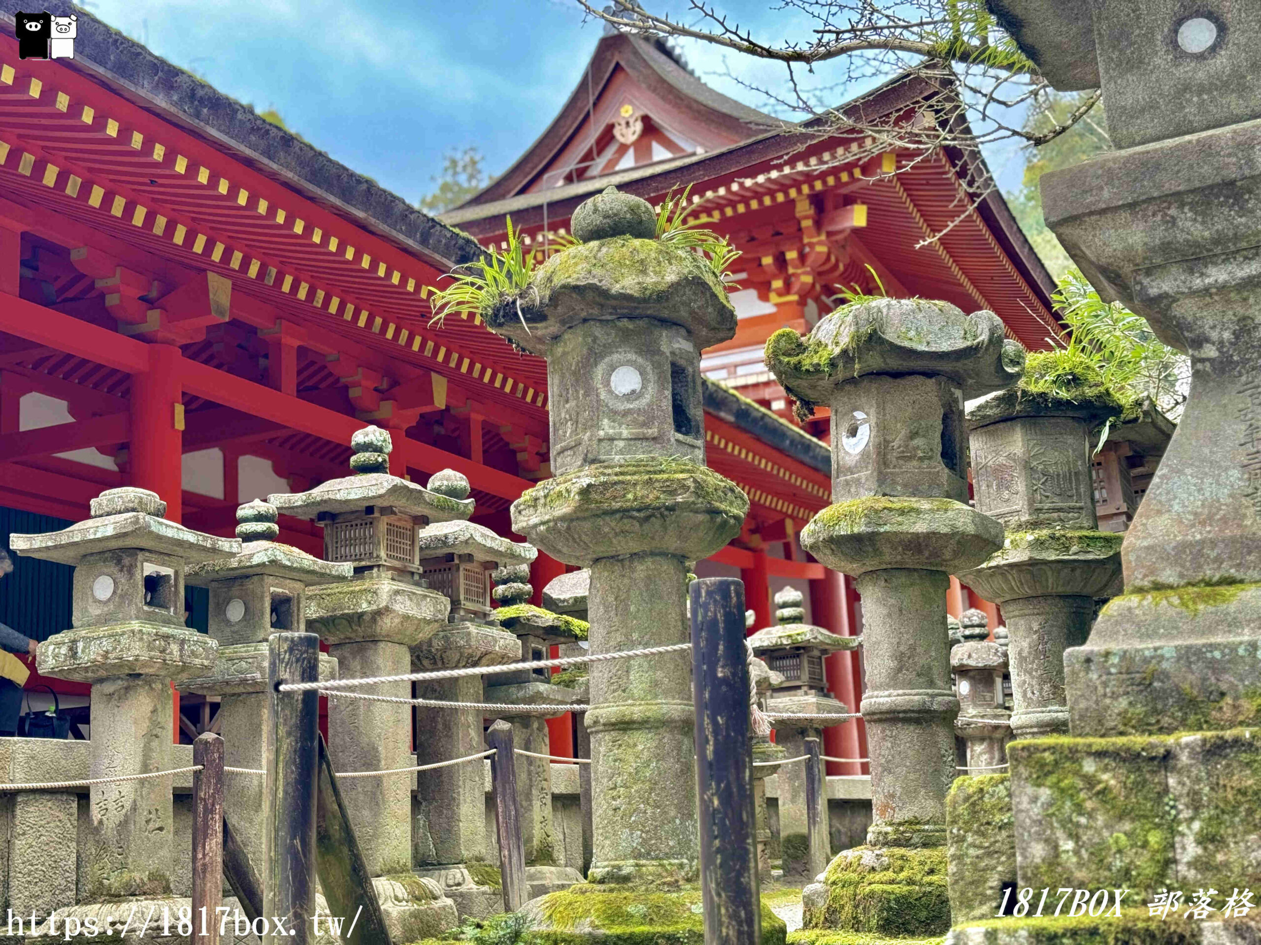 【奈良景點】春日大社。有著朱紅色建築＆美麗紫藤花。世界文化遺產