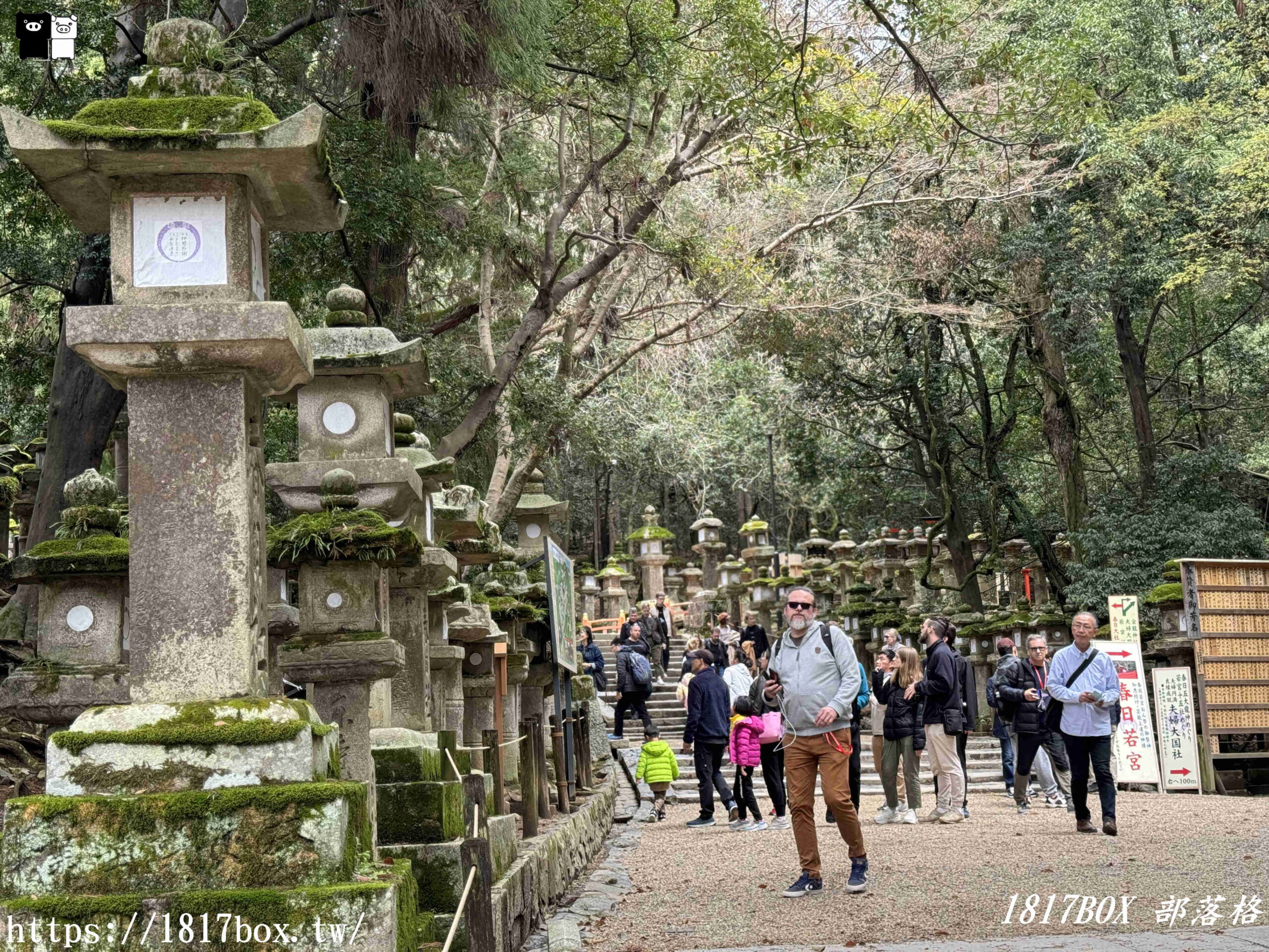 【奈良景點】春日大社。有著朱紅色建築＆美麗紫藤花。世界文化遺產