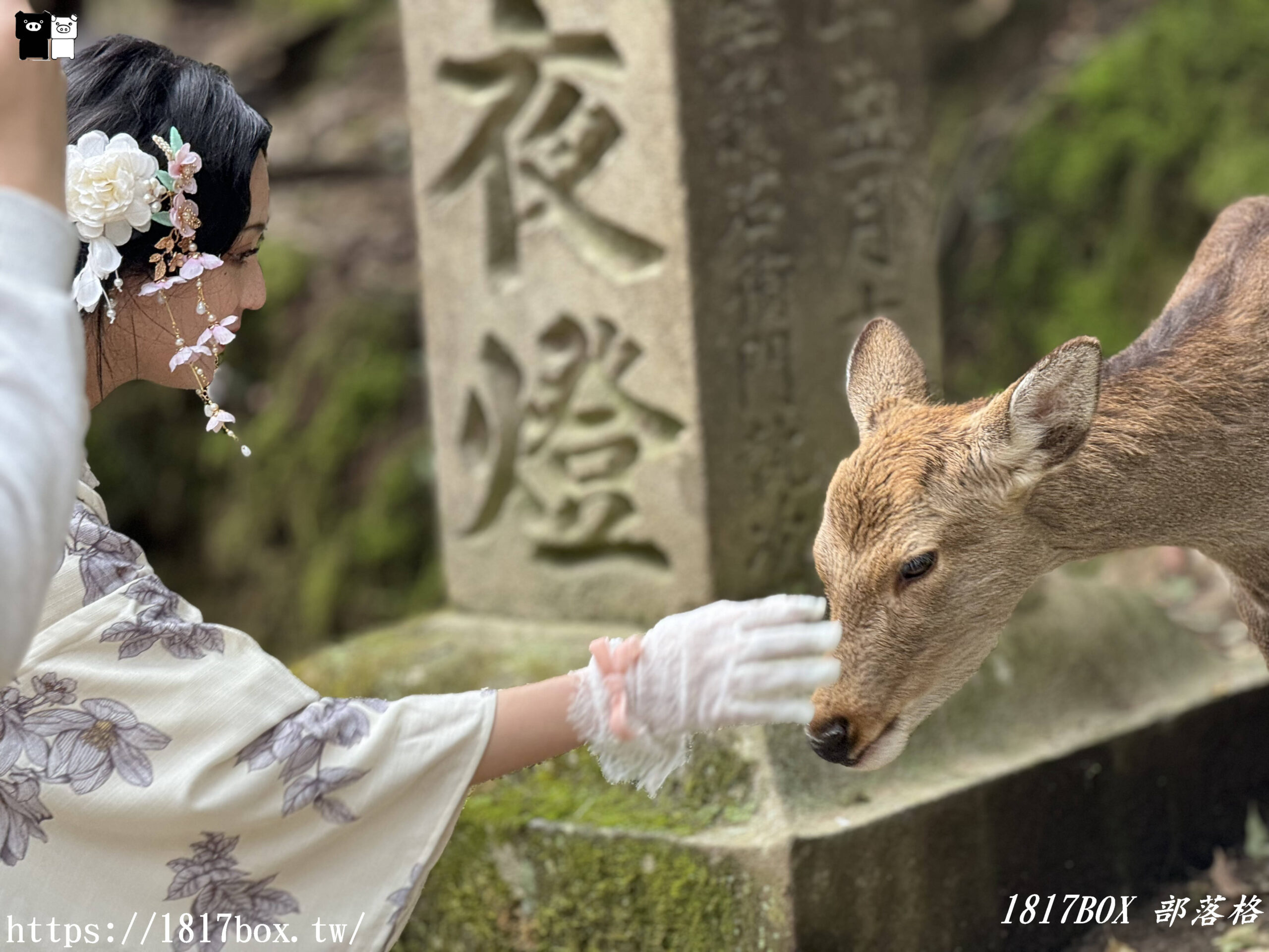 【奈良景點】春日大社。有著朱紅色建築＆美麗紫藤花。世界文化遺產