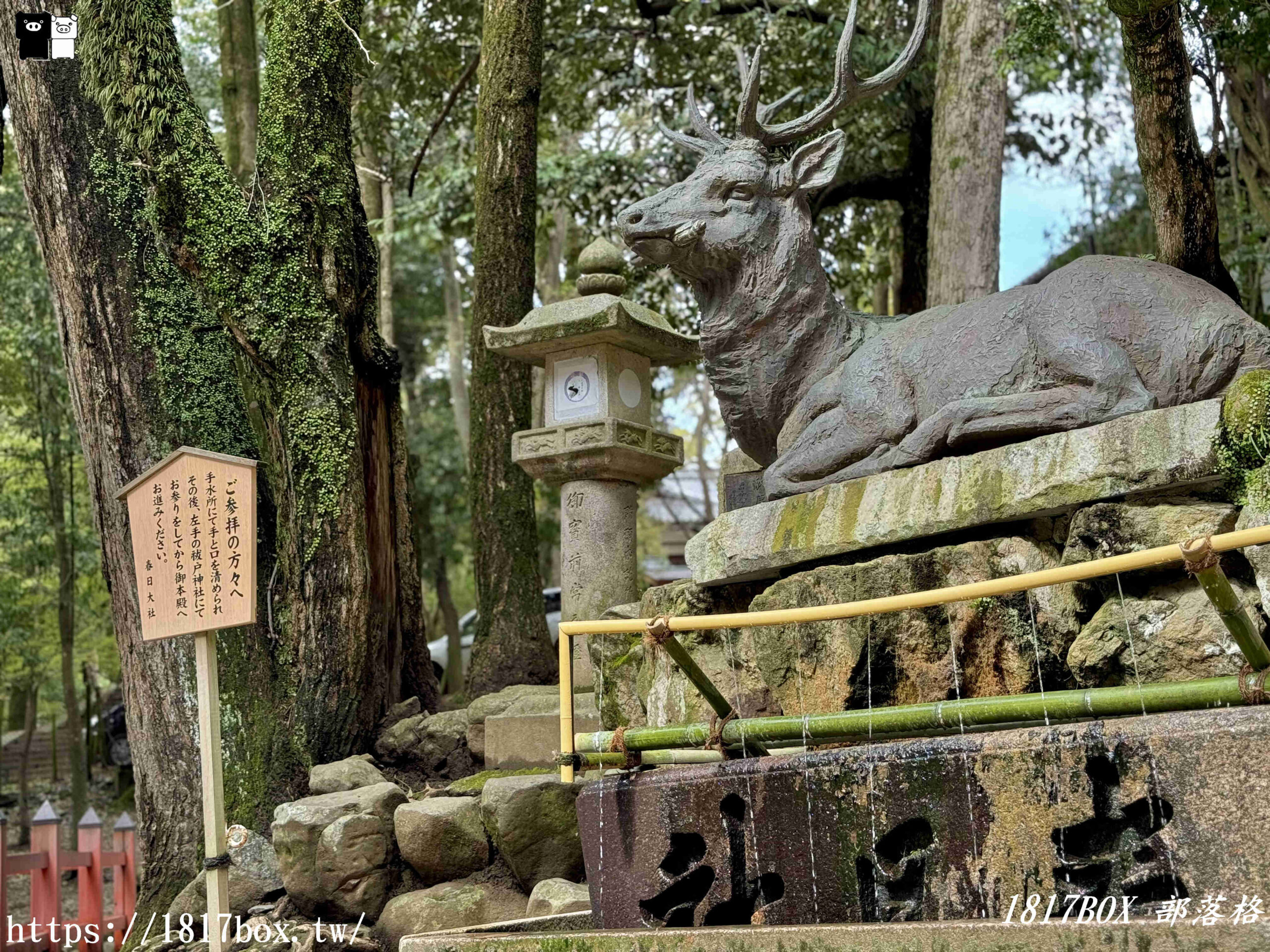 【奈良景點】春日大社。有著朱紅色建築＆美麗紫藤花。世界文化遺產