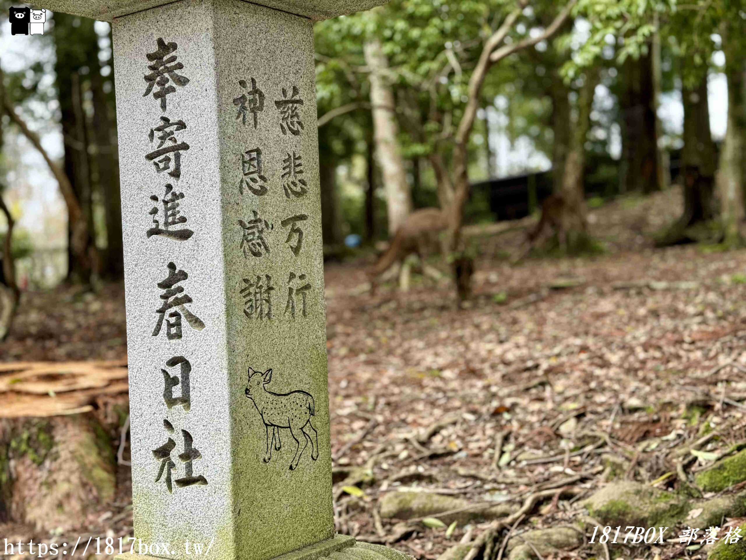 【奈良景點】春日大社。有著朱紅色建築＆美麗紫藤花。世界文化遺產