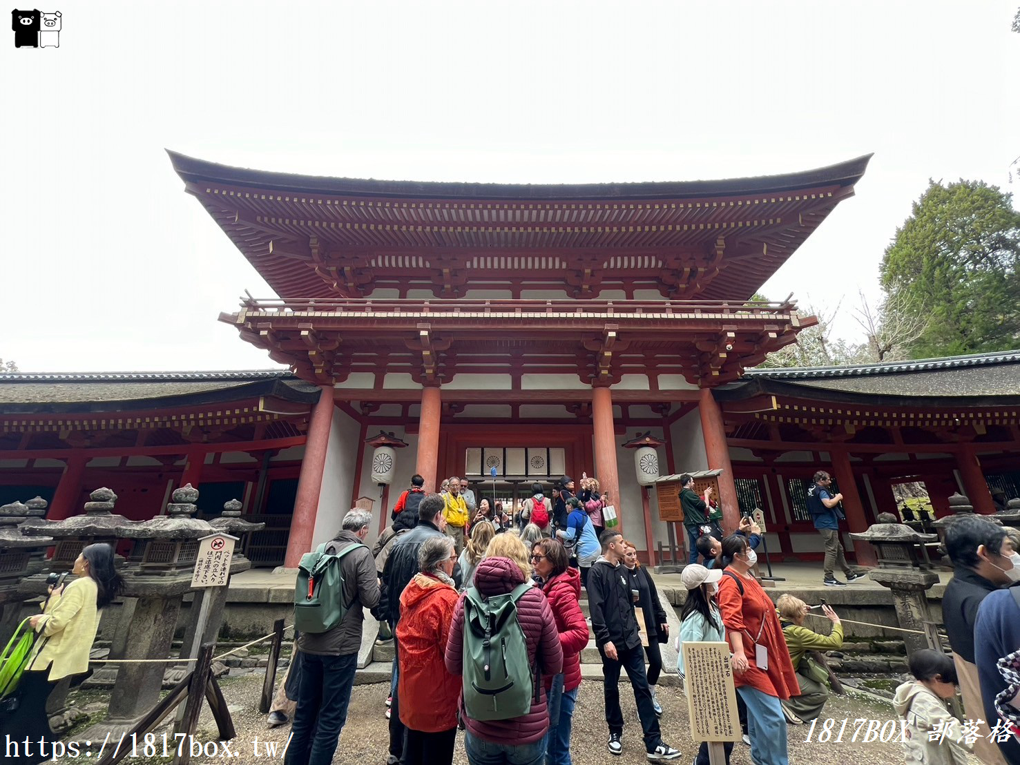 【奈良景點】春日大社。有著朱紅色建築＆美麗紫藤花。世界文化遺產