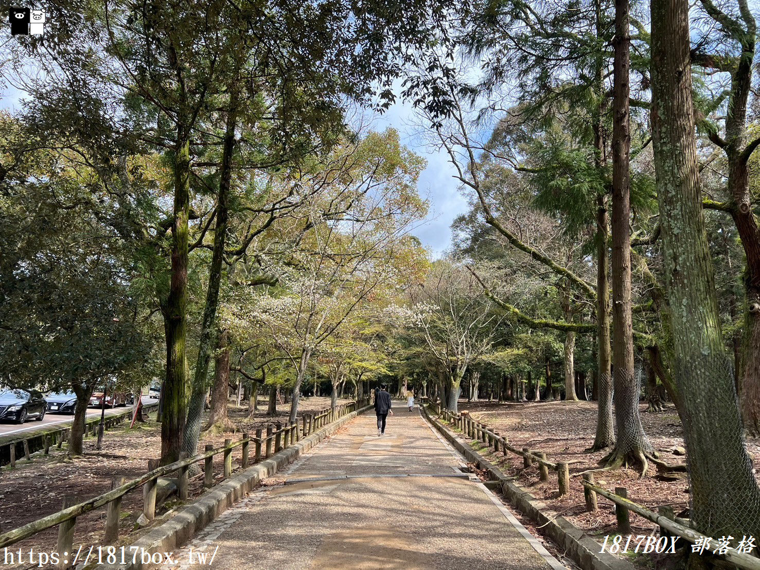 【奈良景點】春日大社。有著朱紅色建築＆美麗紫藤花。世界文化遺產