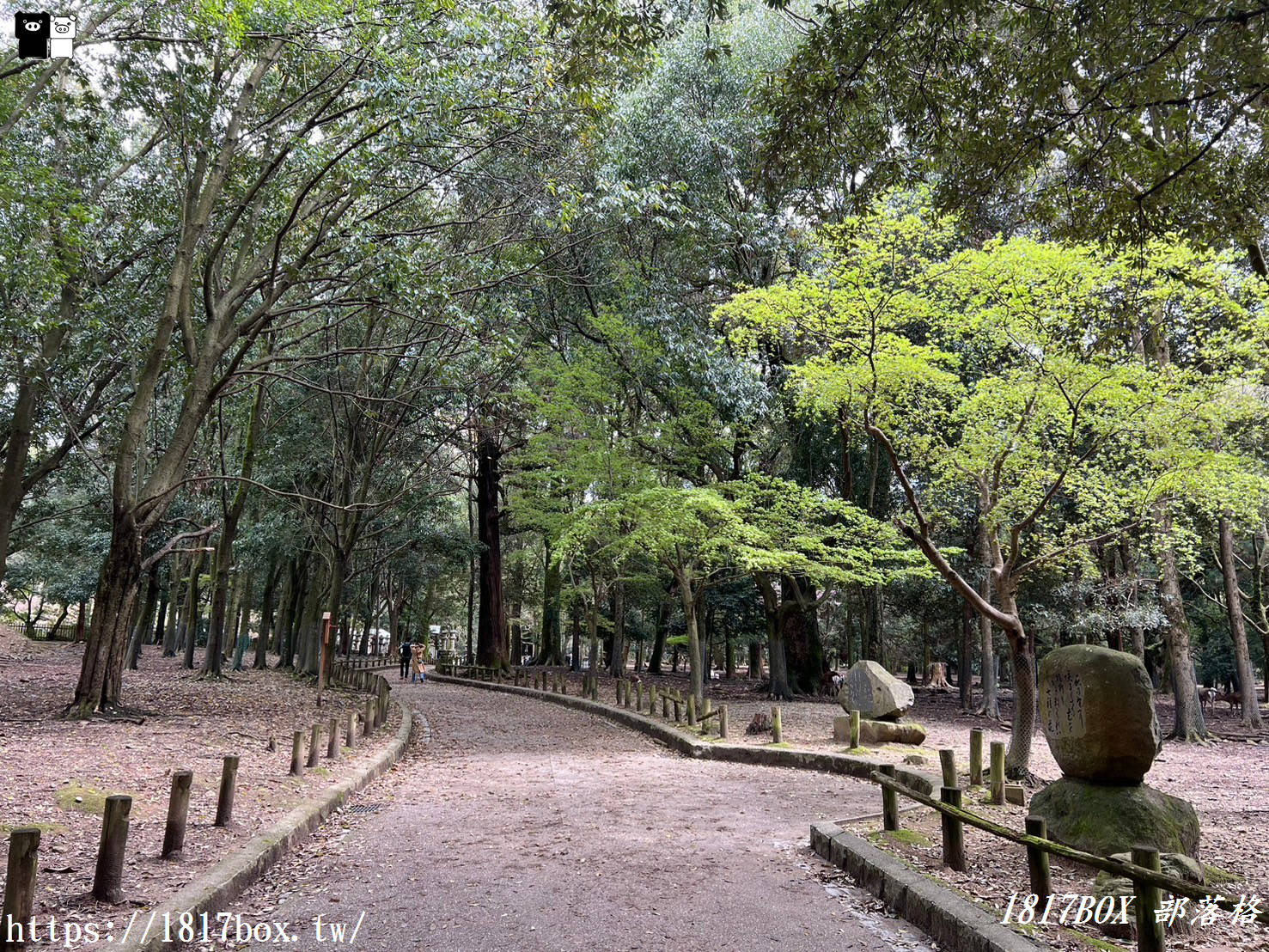 【奈良景點】春日大社。有著朱紅色建築＆美麗紫藤花。世界文化遺產