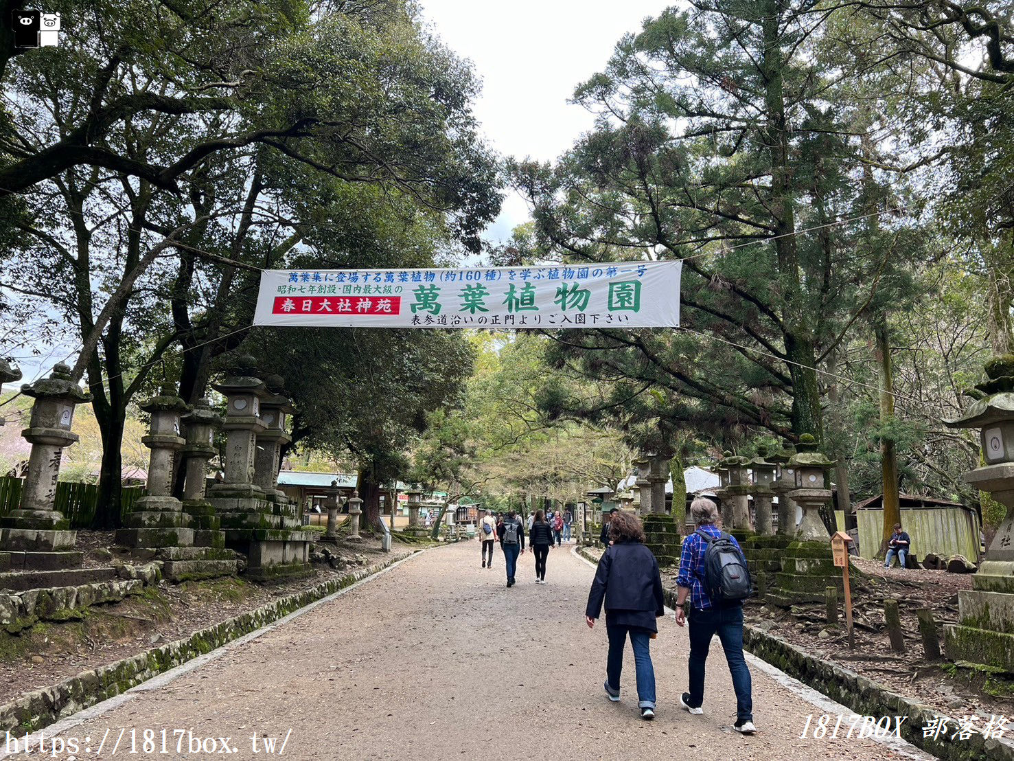 【奈良景點】春日大社。有著朱紅色建築＆美麗紫藤花。世界文化遺產