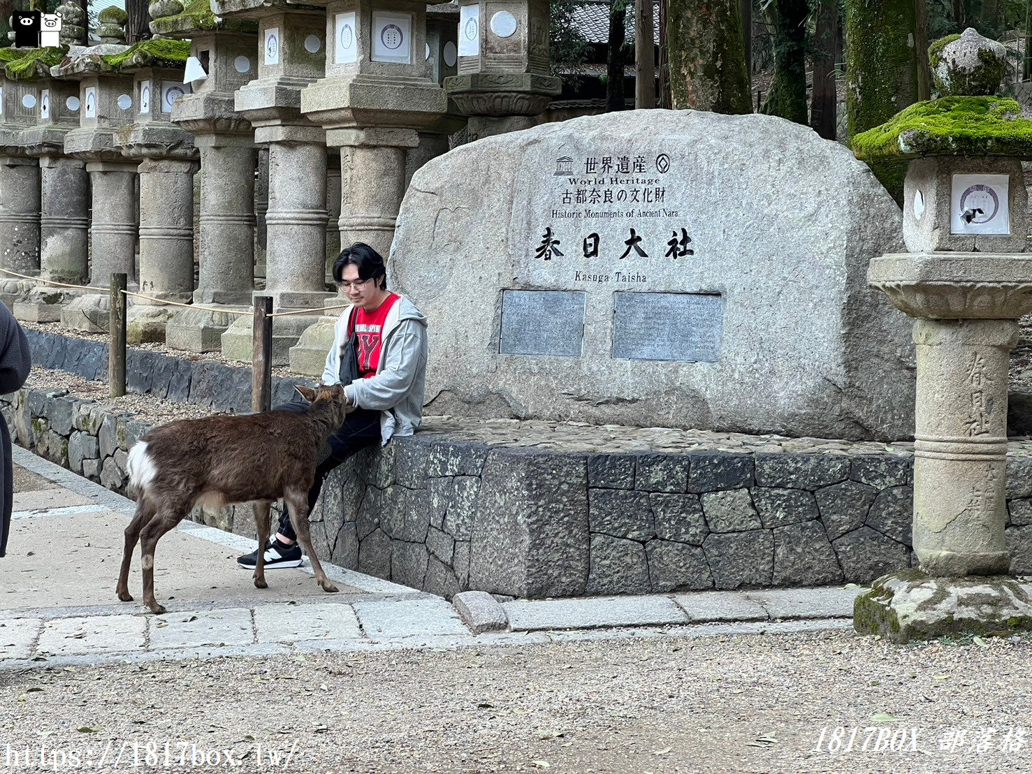 【奈良景點】春日大社。有著朱紅色建築＆美麗紫藤花。世界文化遺產