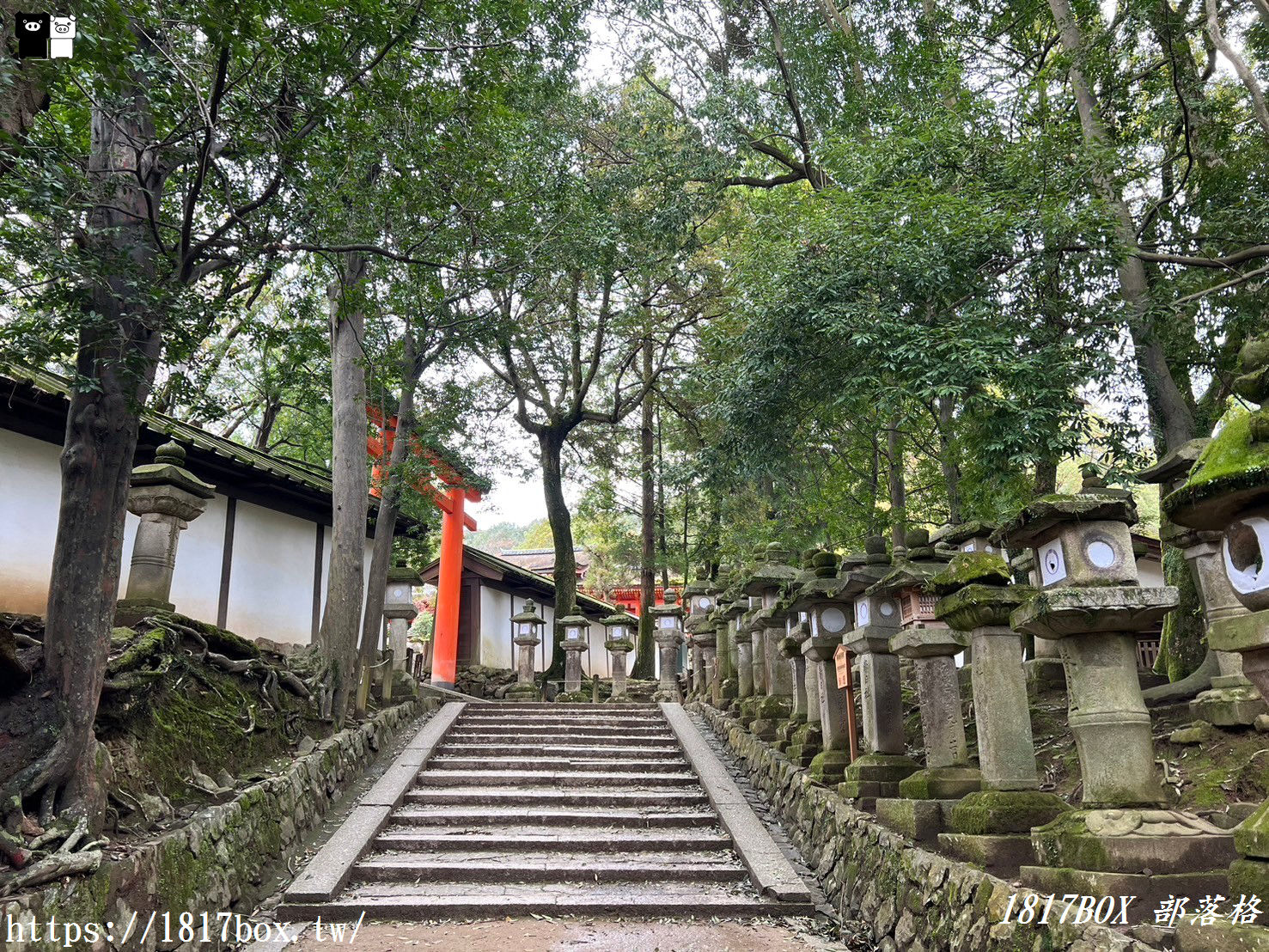 【奈良景點】春日大社。有著朱紅色建築＆美麗紫藤花。世界文化遺產