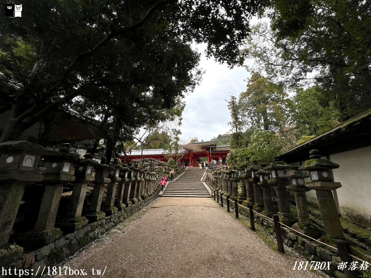 【奈良景點】春日大社。有著朱紅色建築＆美麗紫藤花。世界文化遺產