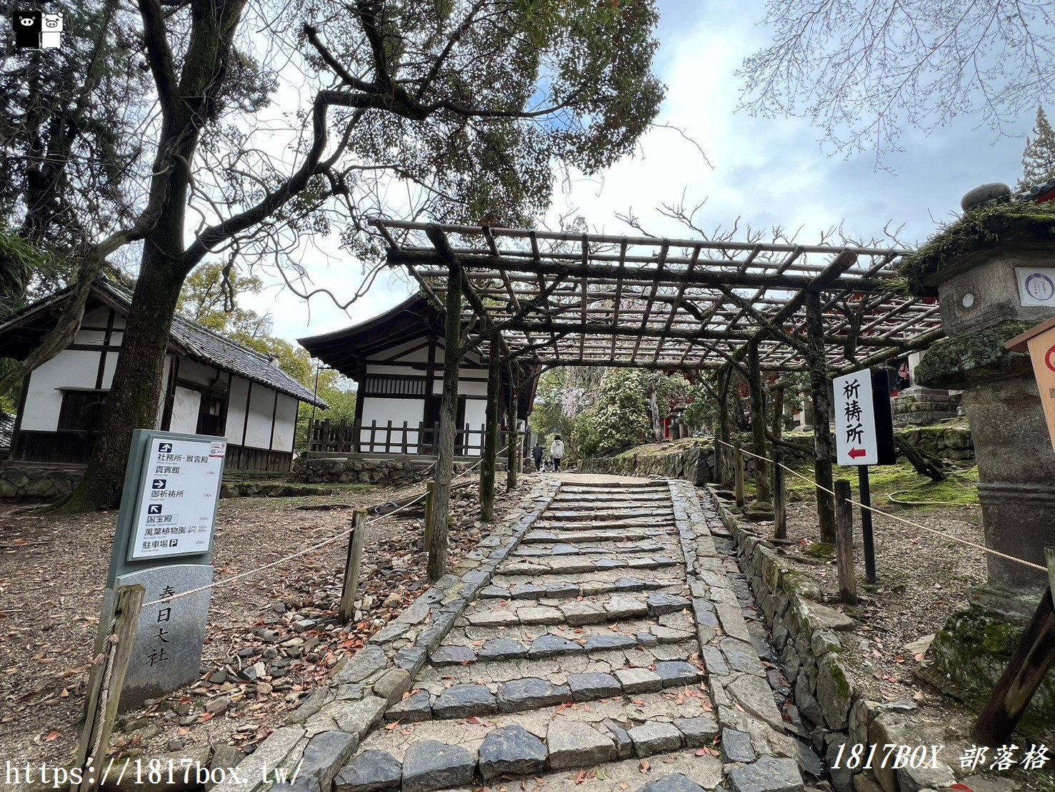 【奈良景點】春日大社。有著朱紅色建築＆美麗紫藤花。世界文化遺產