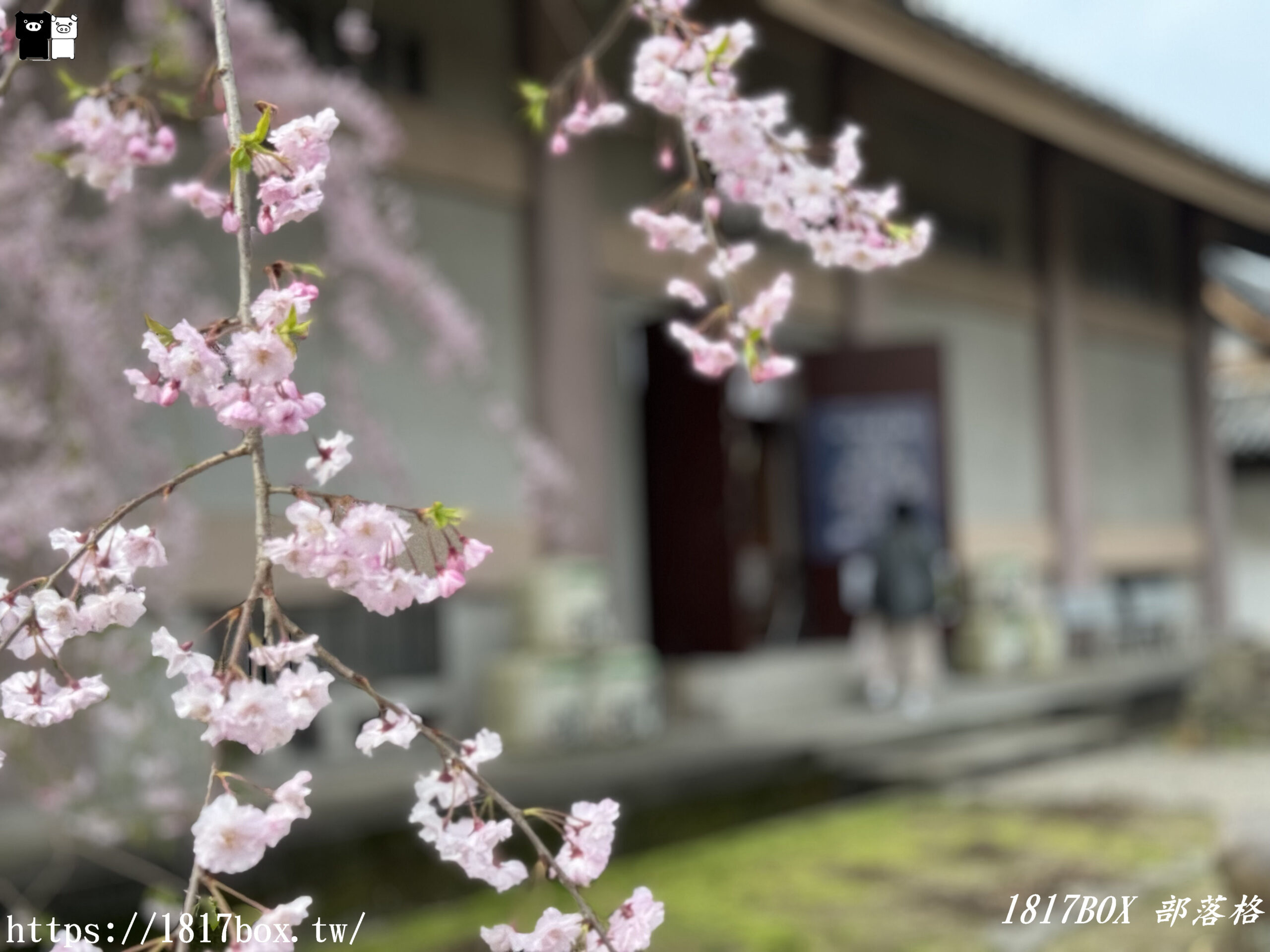 【奈良景點】元興寺。擁有1300年的悠久歷史。奈良的國寶。世界文化遺產