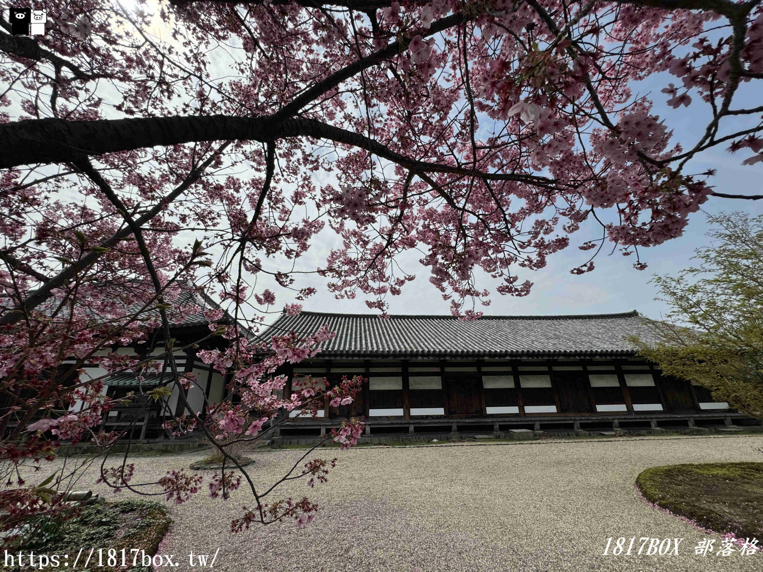 【奈良景點】元興寺。擁有1300年的悠久歷史。奈良的國寶。世界文化遺產