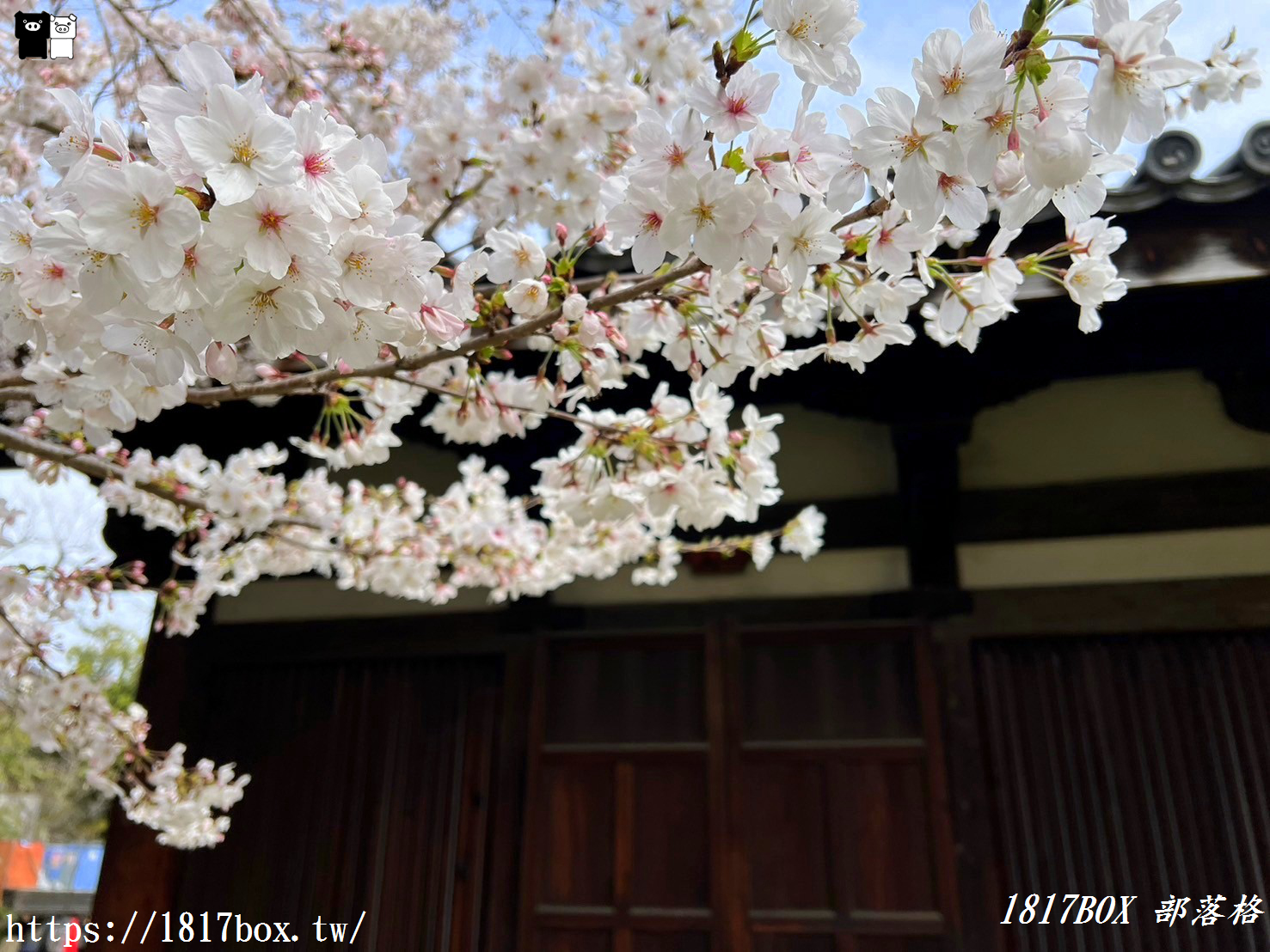 【奈良景點】元興寺。擁有1300年的悠久歷史。奈良的國寶。世界文化遺產