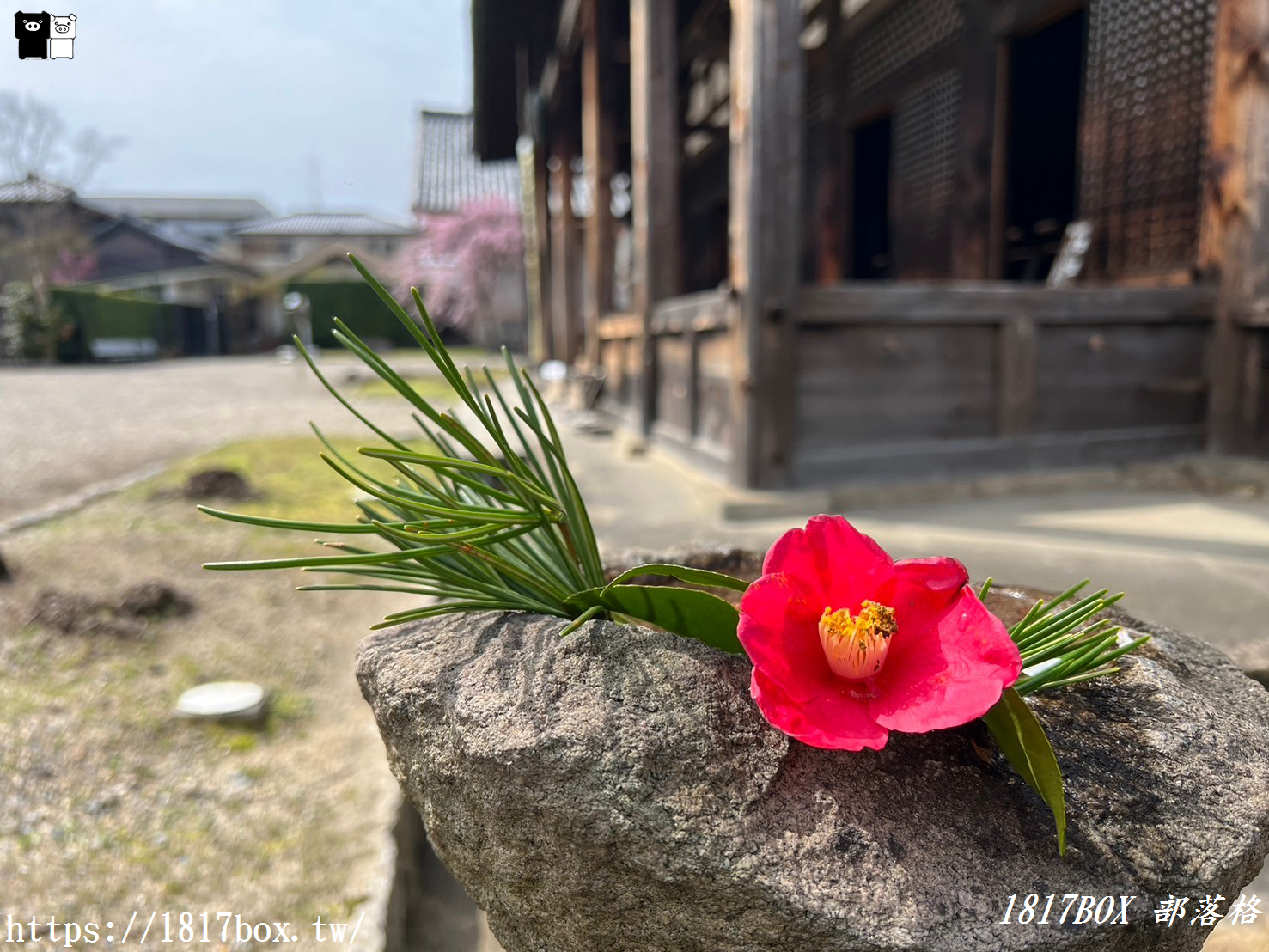 【奈良景點】元興寺。擁有1300年的悠久歷史。奈良的國寶。世界文化遺產