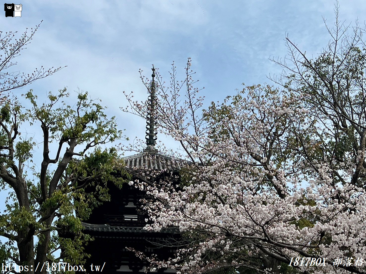 【奈良景點】散步奈良町。留存著從江戶時代至明治時代的町屋