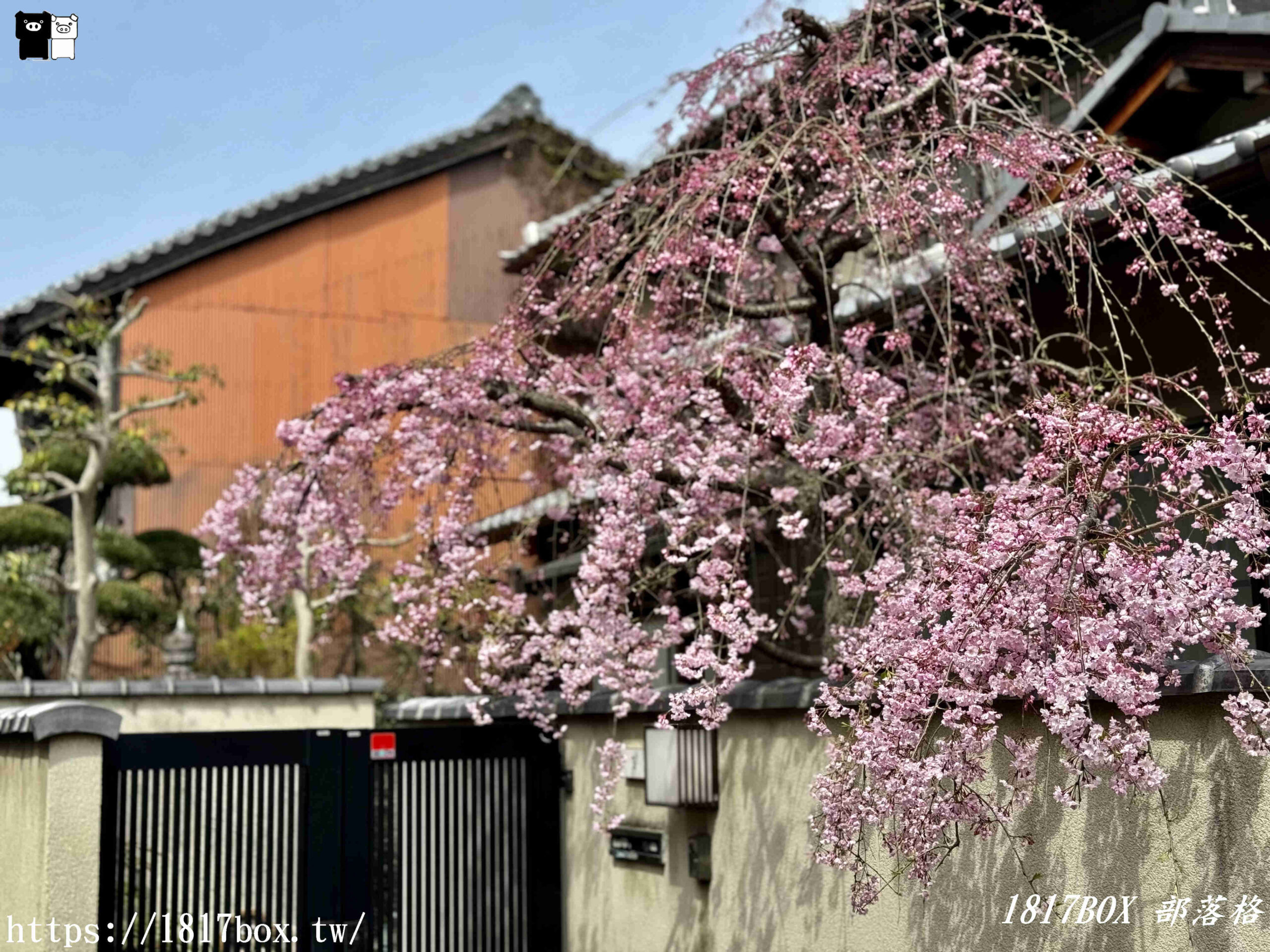 【奈良景點】奈良町資料館。限定販售替身猿。庚申堂。超人氣之參拜景點