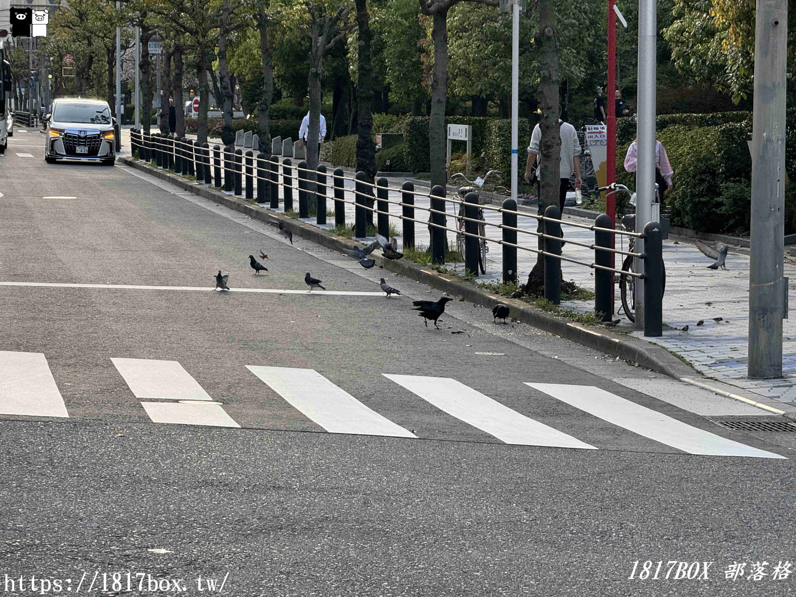 【大阪購物】LUCUA osaka。ルクア大阪。JR大阪站直通。日本國內最大型的車站購物商城