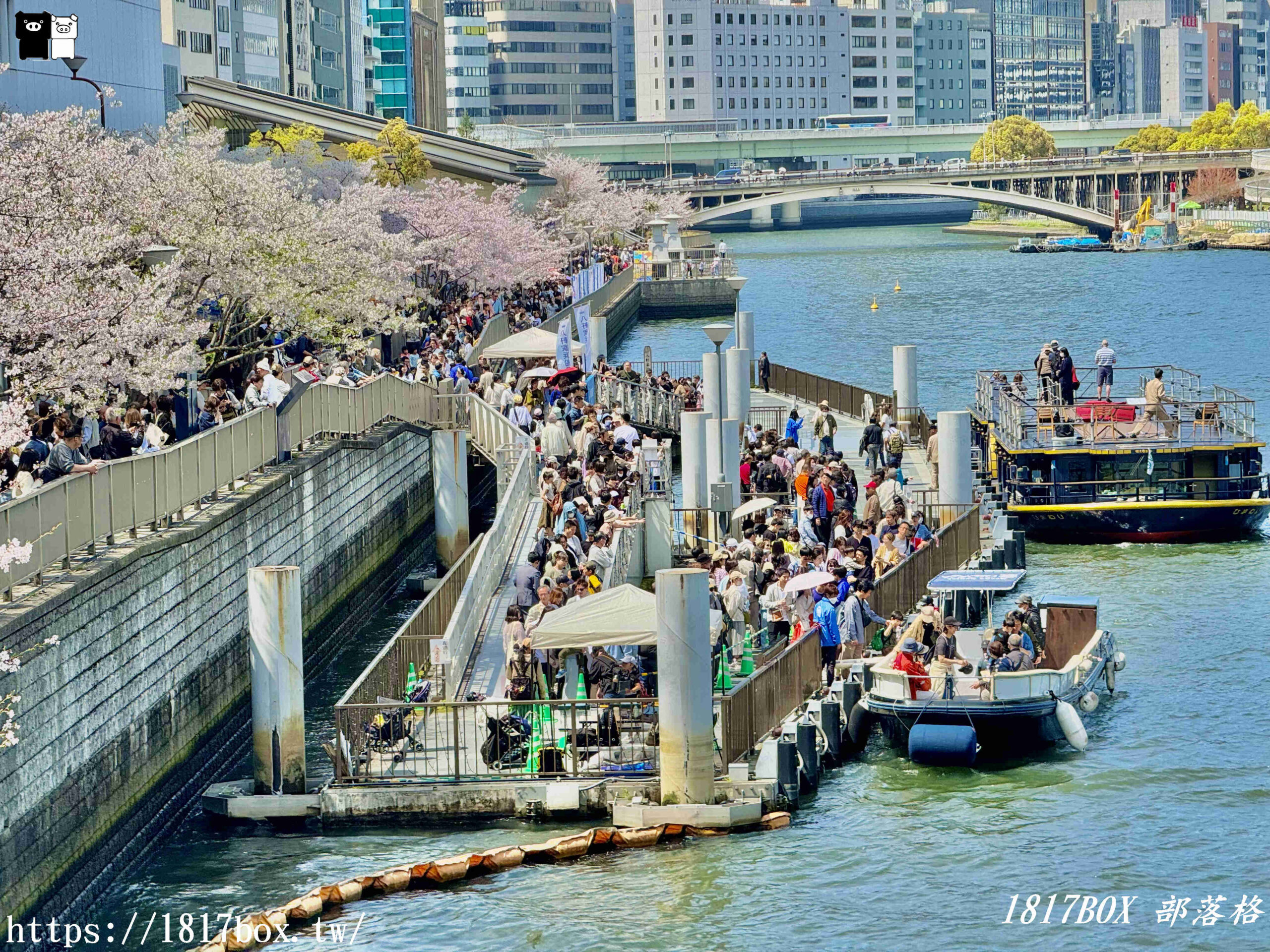 【大阪景點】大川櫻花遊覽船。大阪城御座船。天下第一的黃金和船