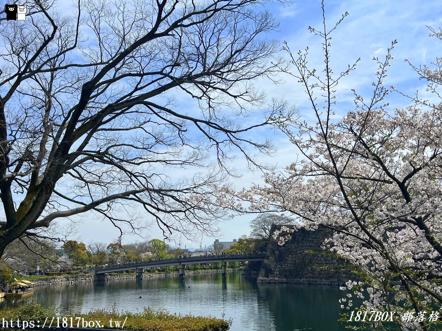 【大阪景點】大川櫻花遊覽船。大阪城御座船。天下第一的黃金和船