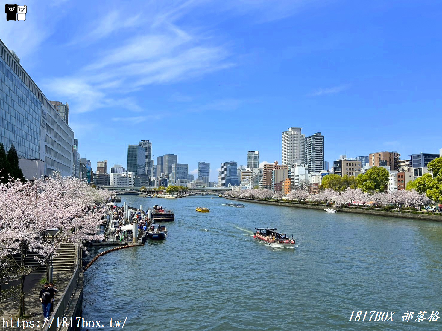 【大阪景點】大川櫻花遊覽船。大阪城御座船。天下第一的黃金和船