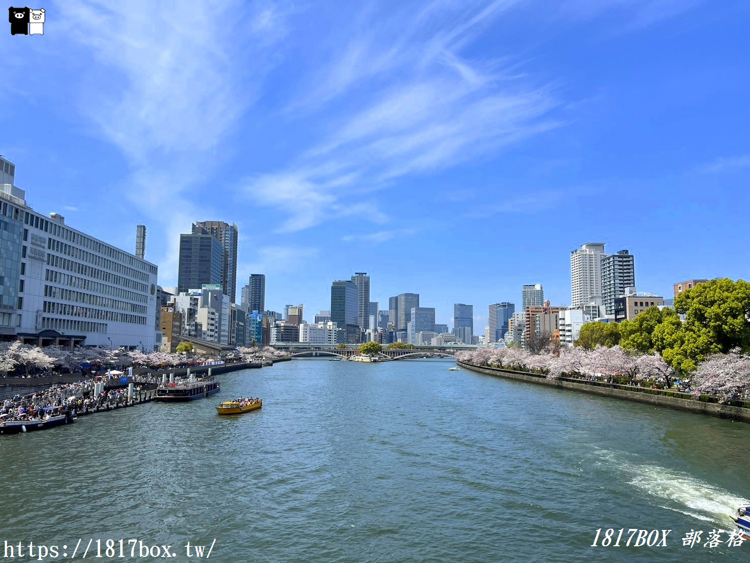 【大阪景點】大川櫻花遊覽船。大阪城御座船。天下第一的黃金和船