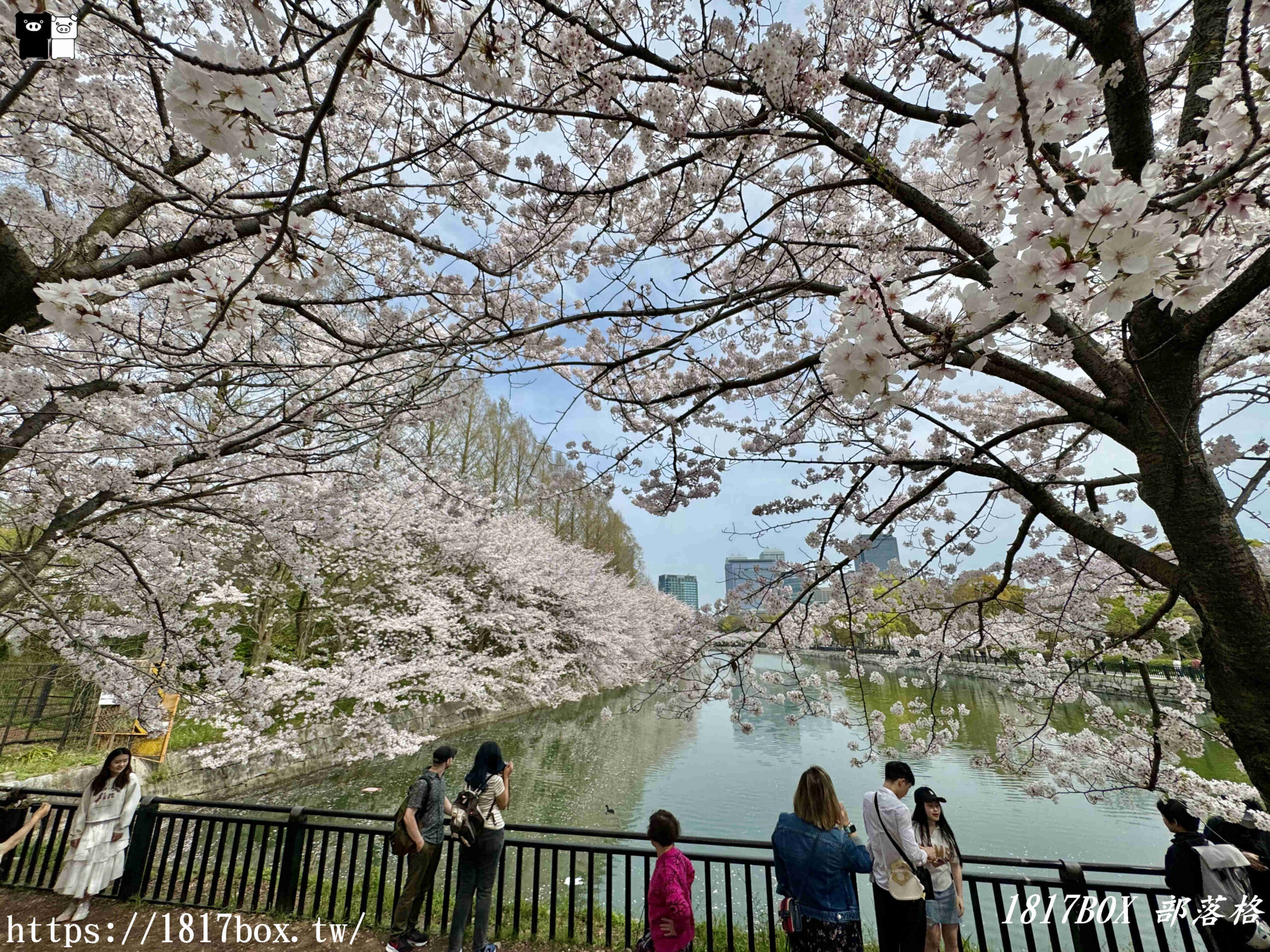 【大阪景點】絕美大阪城公園。一年四季繁花圍繞。大阪城天守閣。太閣大人的城堡