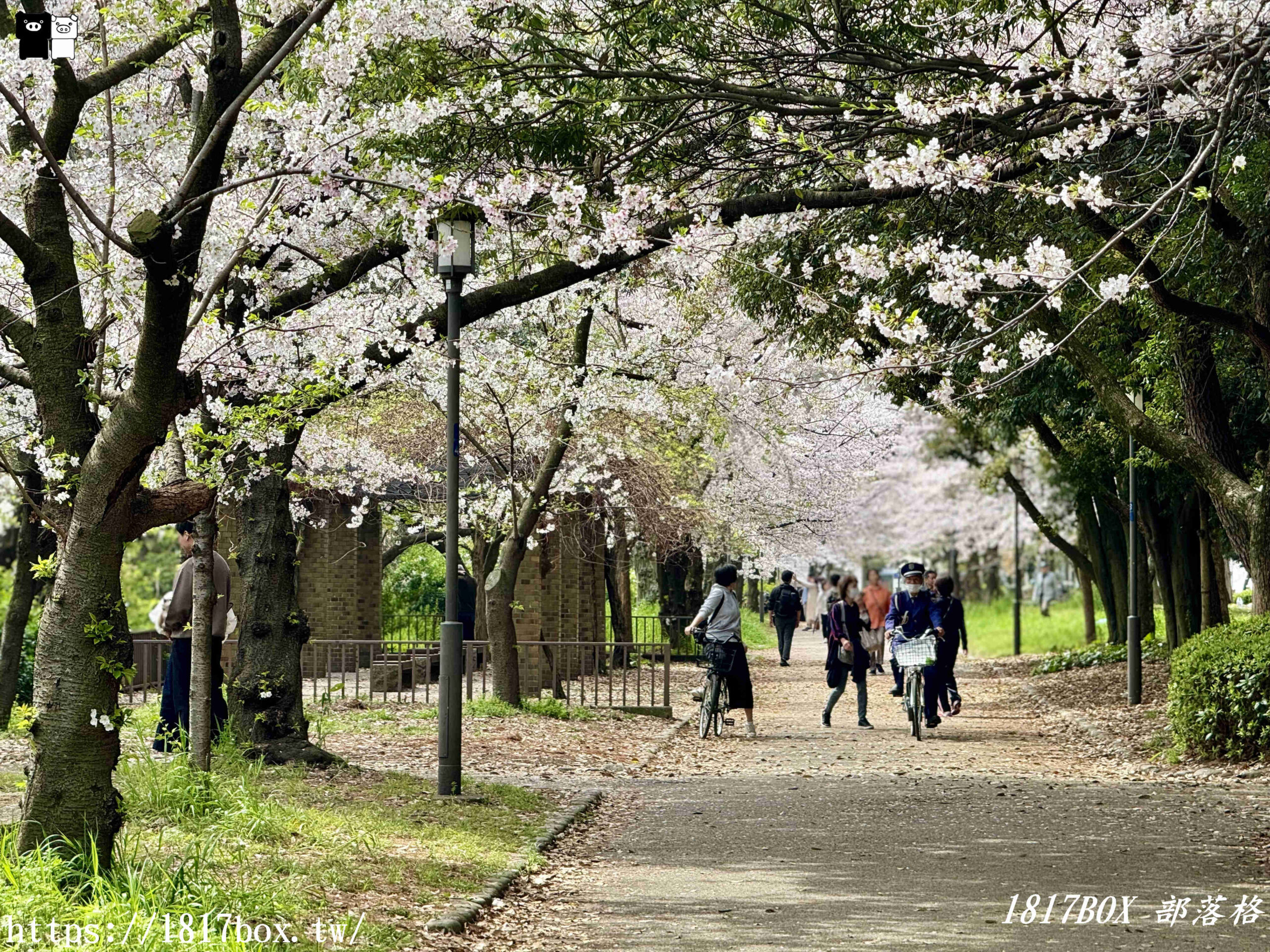 【大阪景點】絕美大阪城公園。一年四季繁花圍繞。大阪城天守閣。太閣大人的城堡