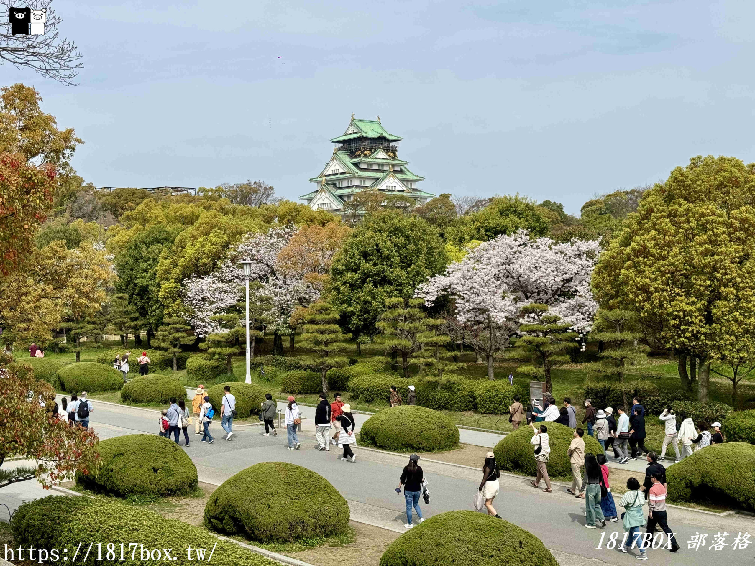 【大阪景點】絕美大阪城公園。一年四季繁花圍繞。大阪城天守閣。太閣大人的城堡